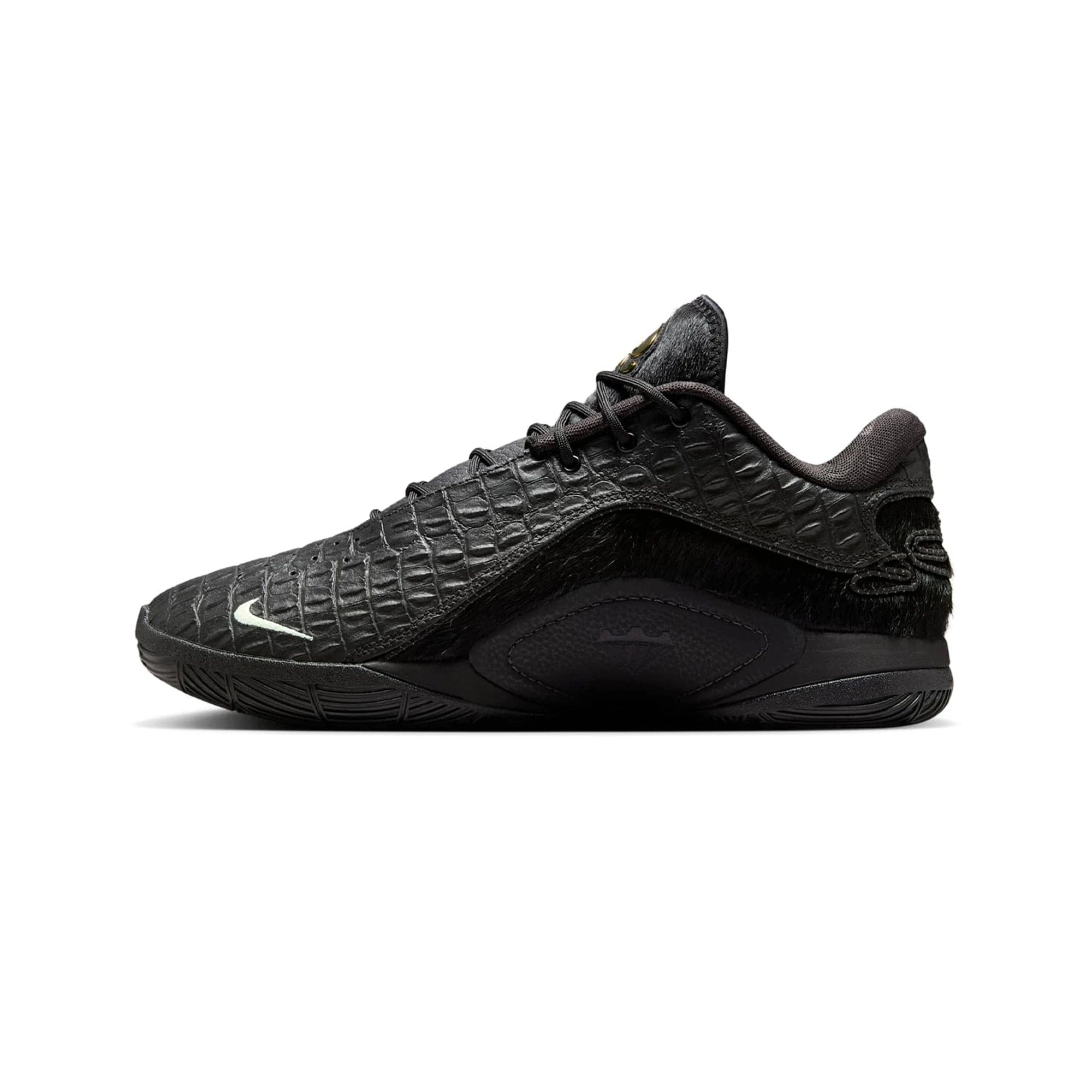 Nike LeBron 22 Black Label (2025)