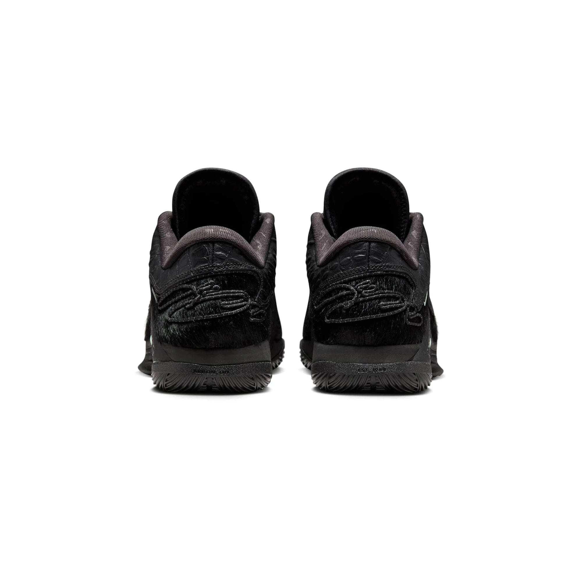 Nike LeBron 22 Black Label (2025)