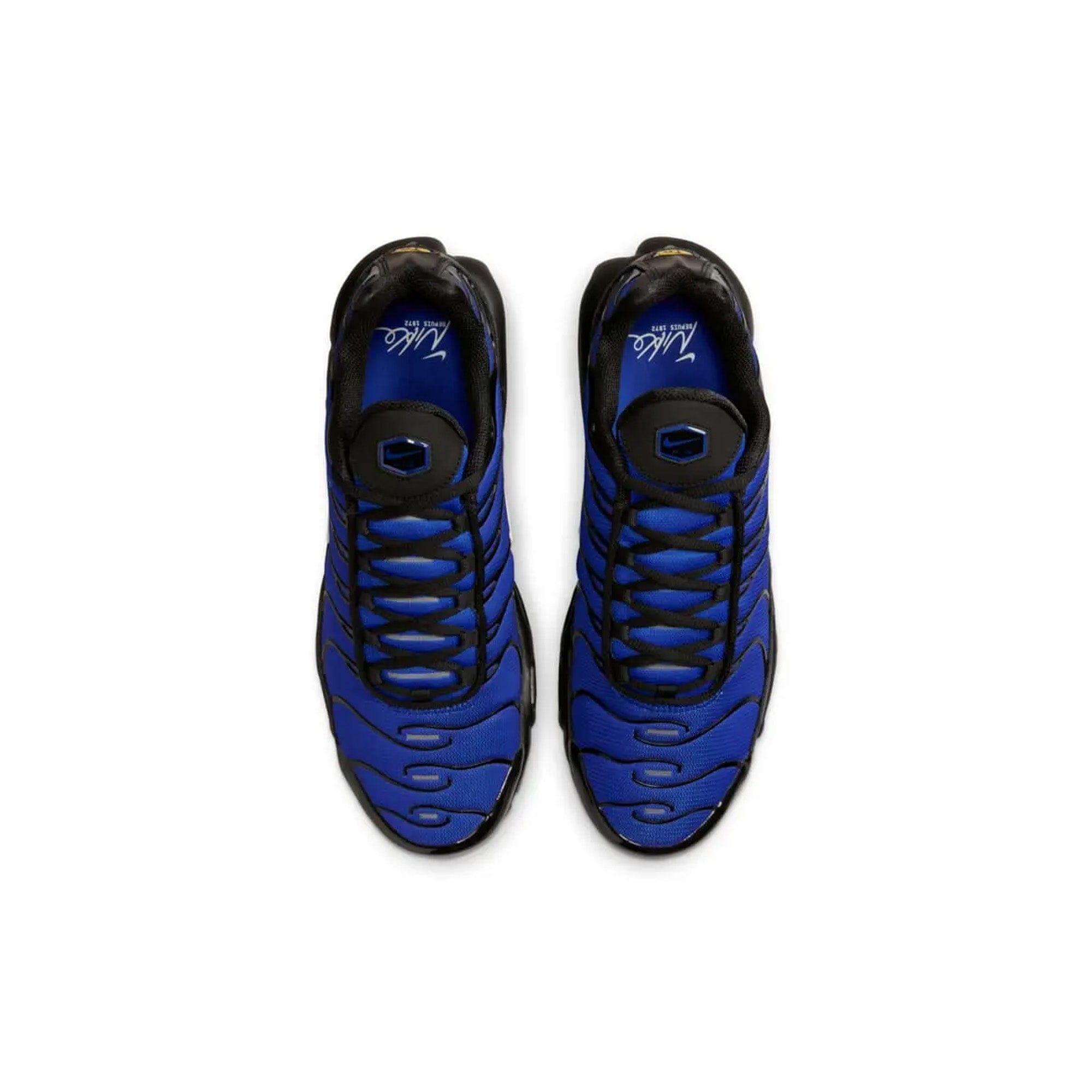 Nike Air Max Plus TN Premium Black Racer Blue (2024)
