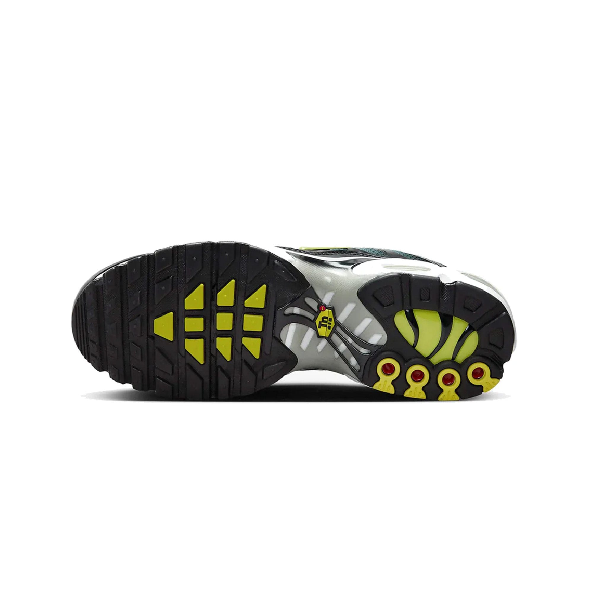 Nike Air Max Plus TN Black Bright Cactus (2023)
