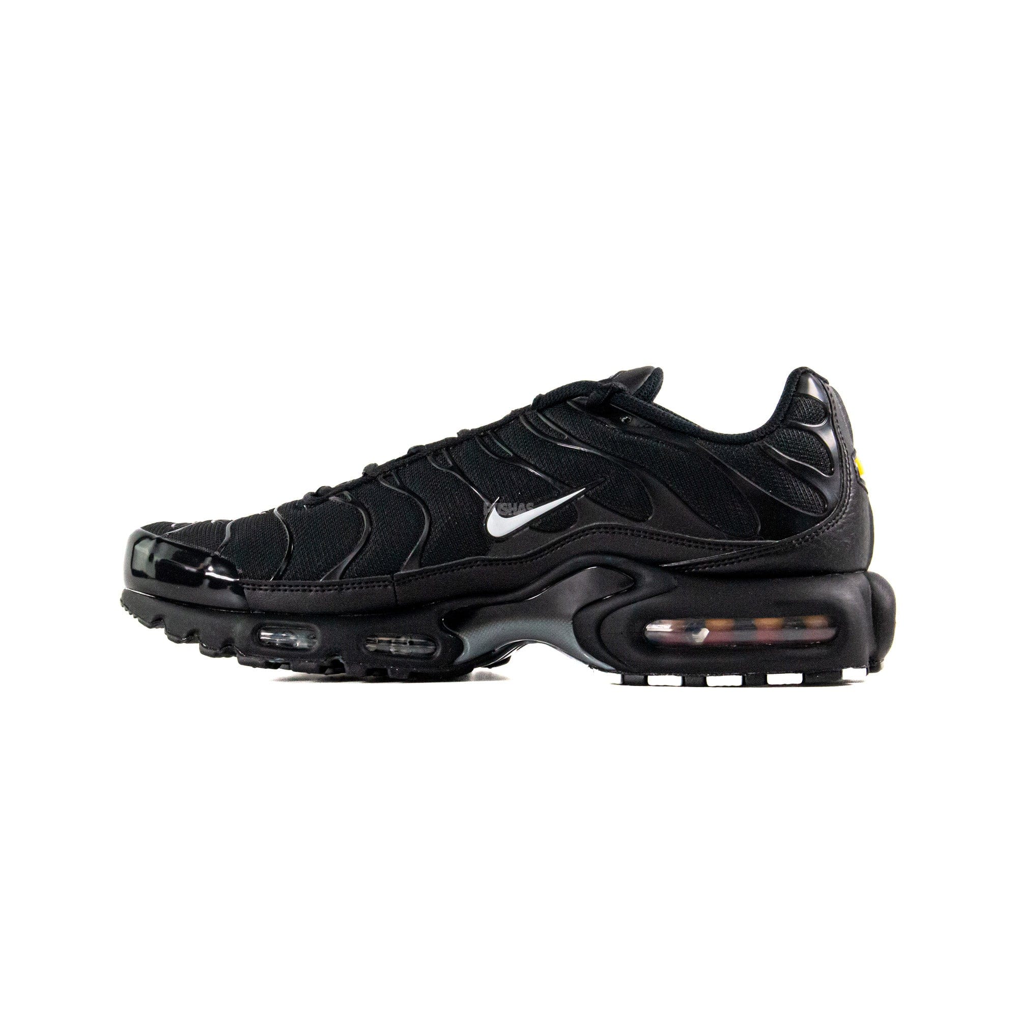 Nike Air Max Plus TN Multiswoosh Colour (2023)
