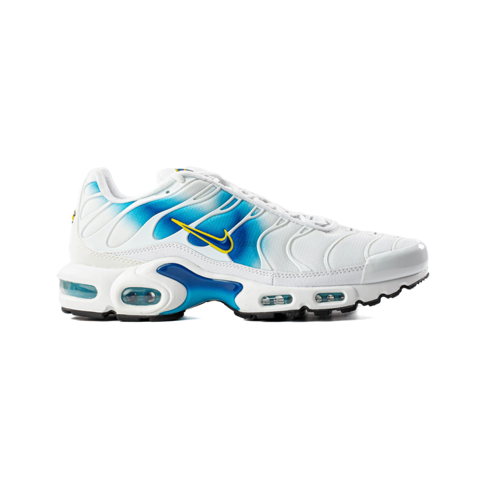 Nike Air Max Plus TN Spraypaint Swoosh (2022)