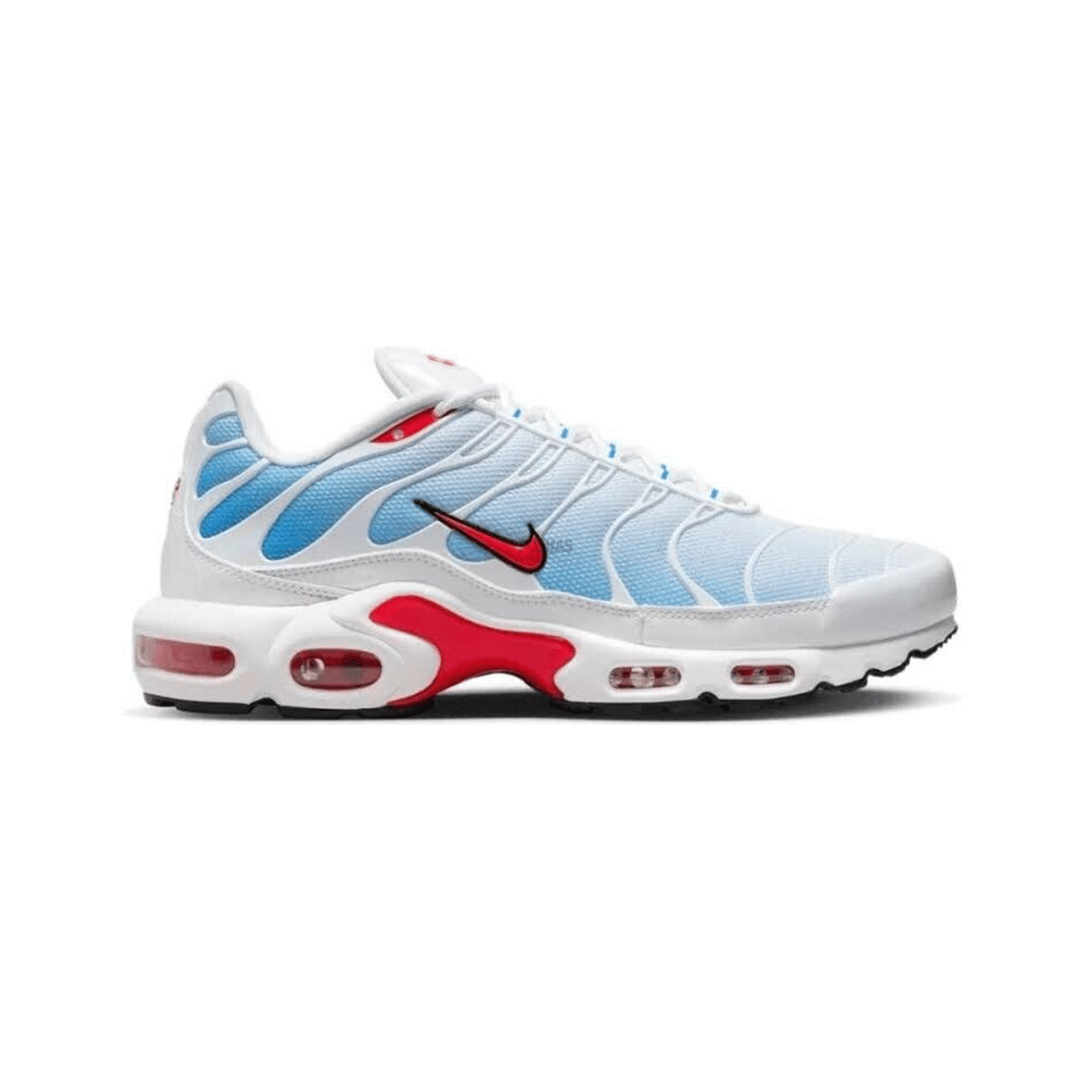 Nike Air Max Plus TN Tide (2022)