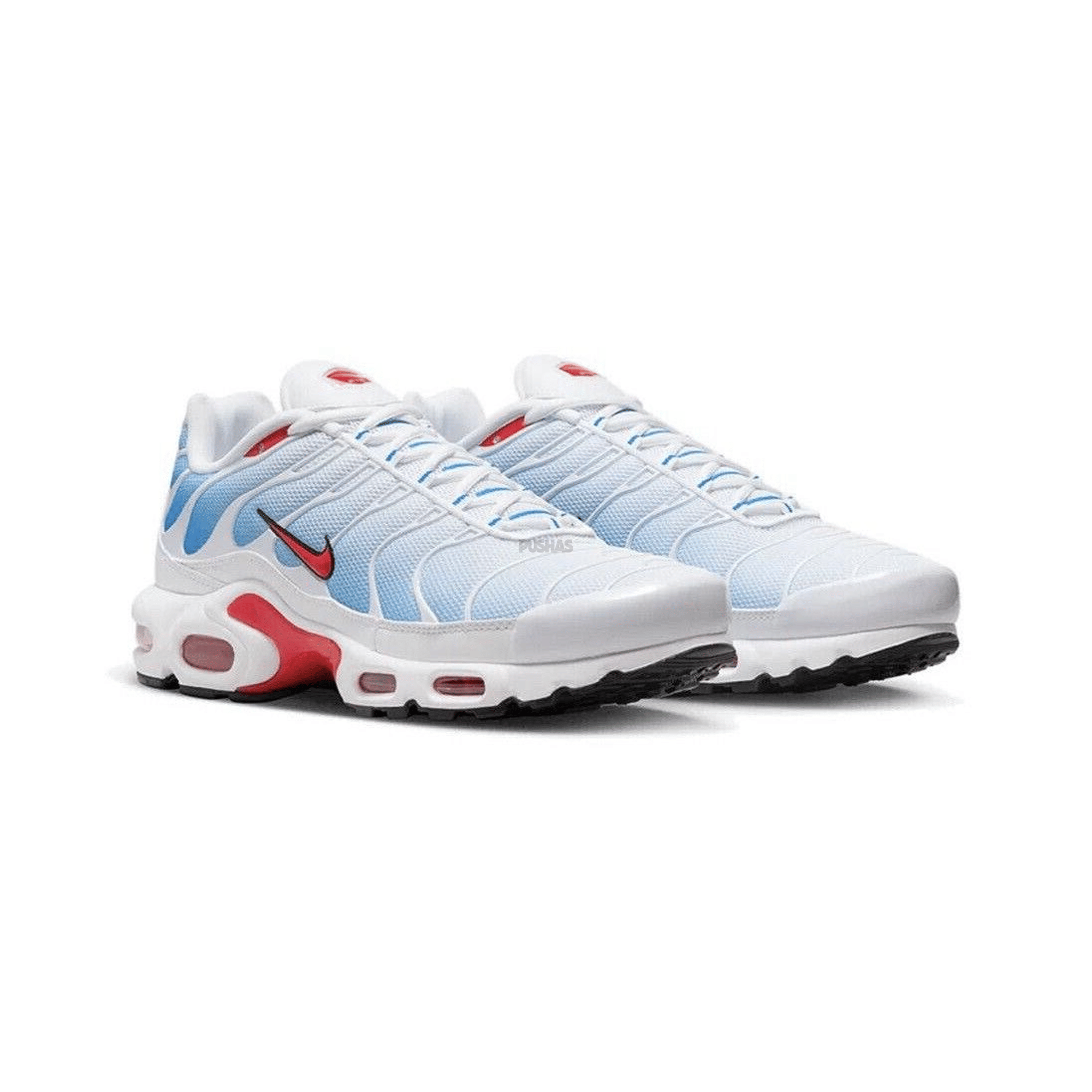 Nike Air Max Plus TN Tide (2022)