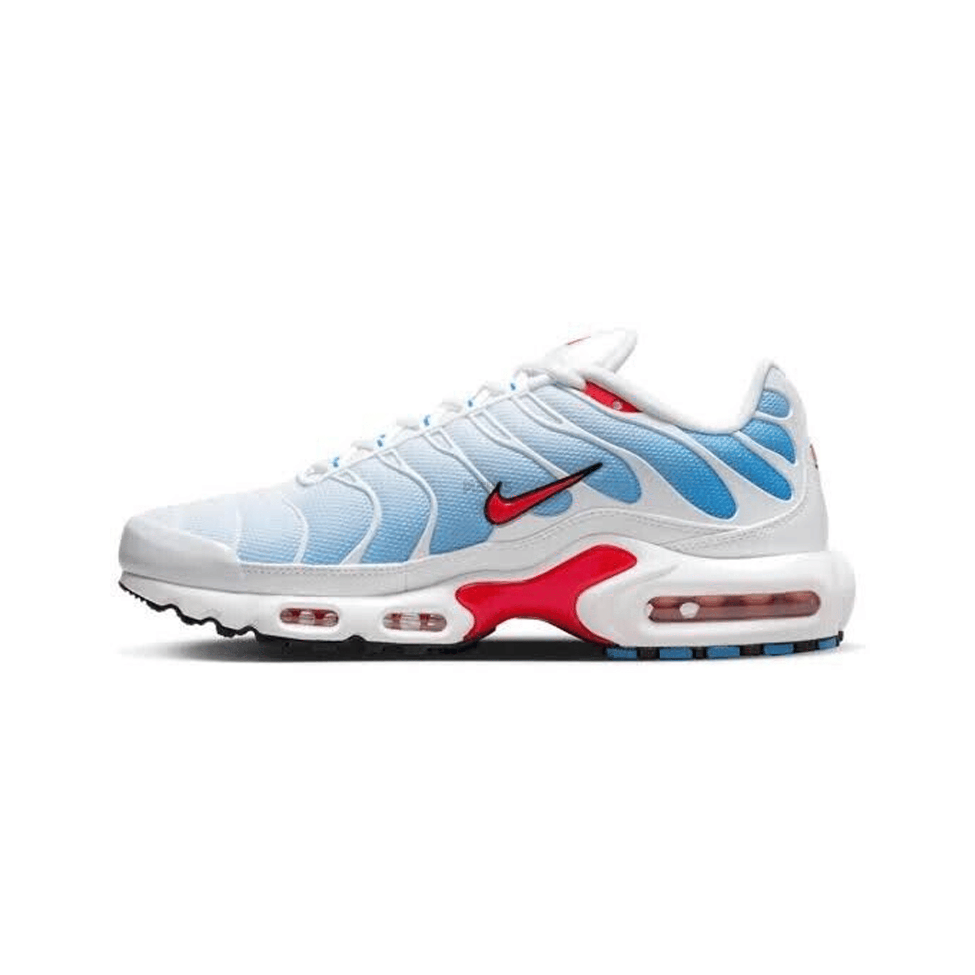 Nike Air Max Plus TN Tide (2022)
