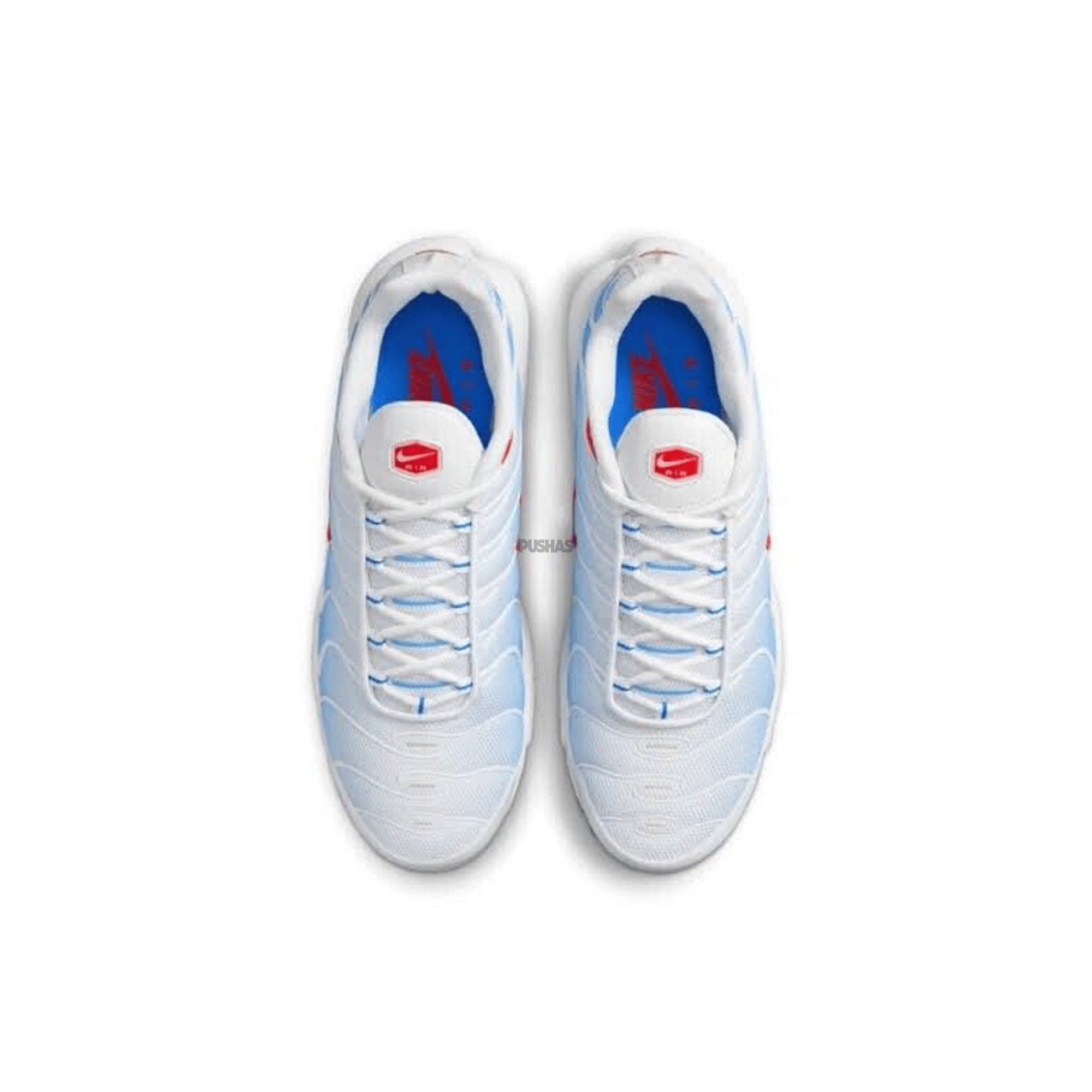 Nike Air Max Plus TN Tide (2022)
