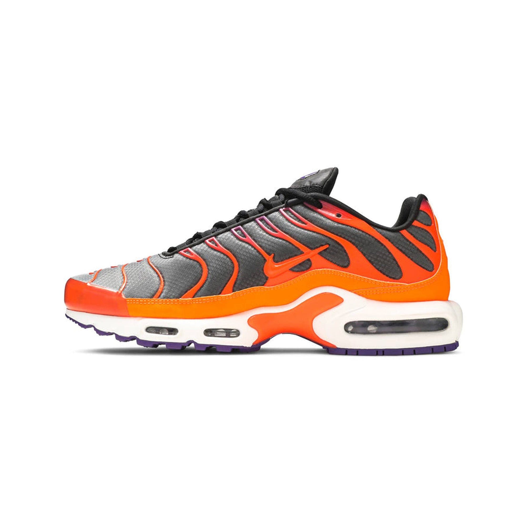 Nike Air Max Plus TN Dark Colour Flip