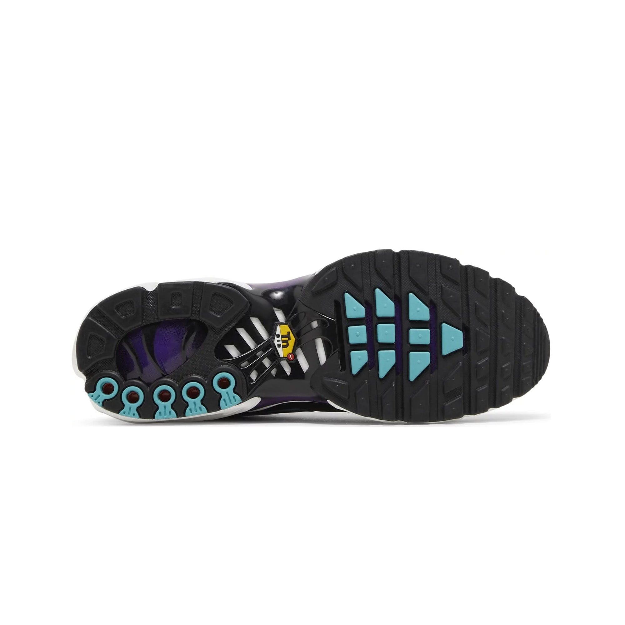 Nike Air Max Plus TN Reverse Grape (2023)