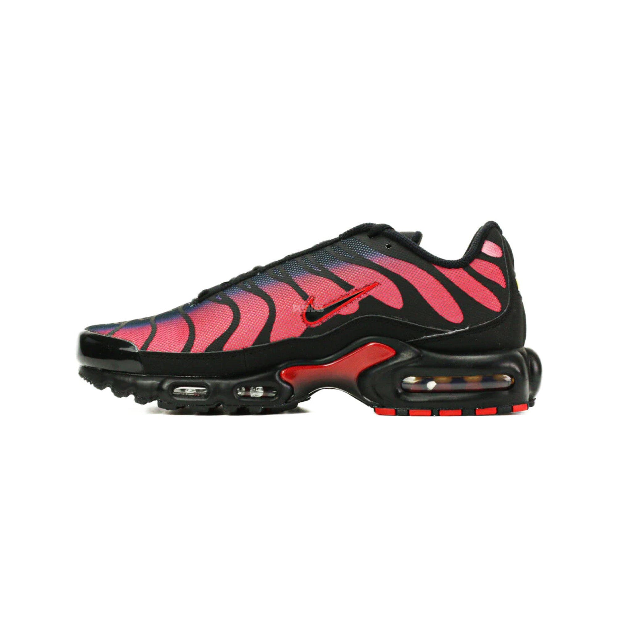 Nike Air Max Plus TN Bred Reflective (2022)