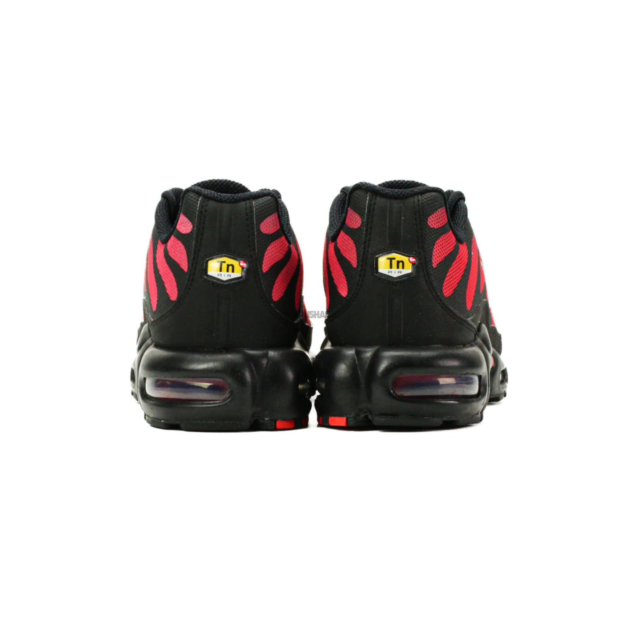 Nike Air Max Plus TN Bred Reflective (2022)