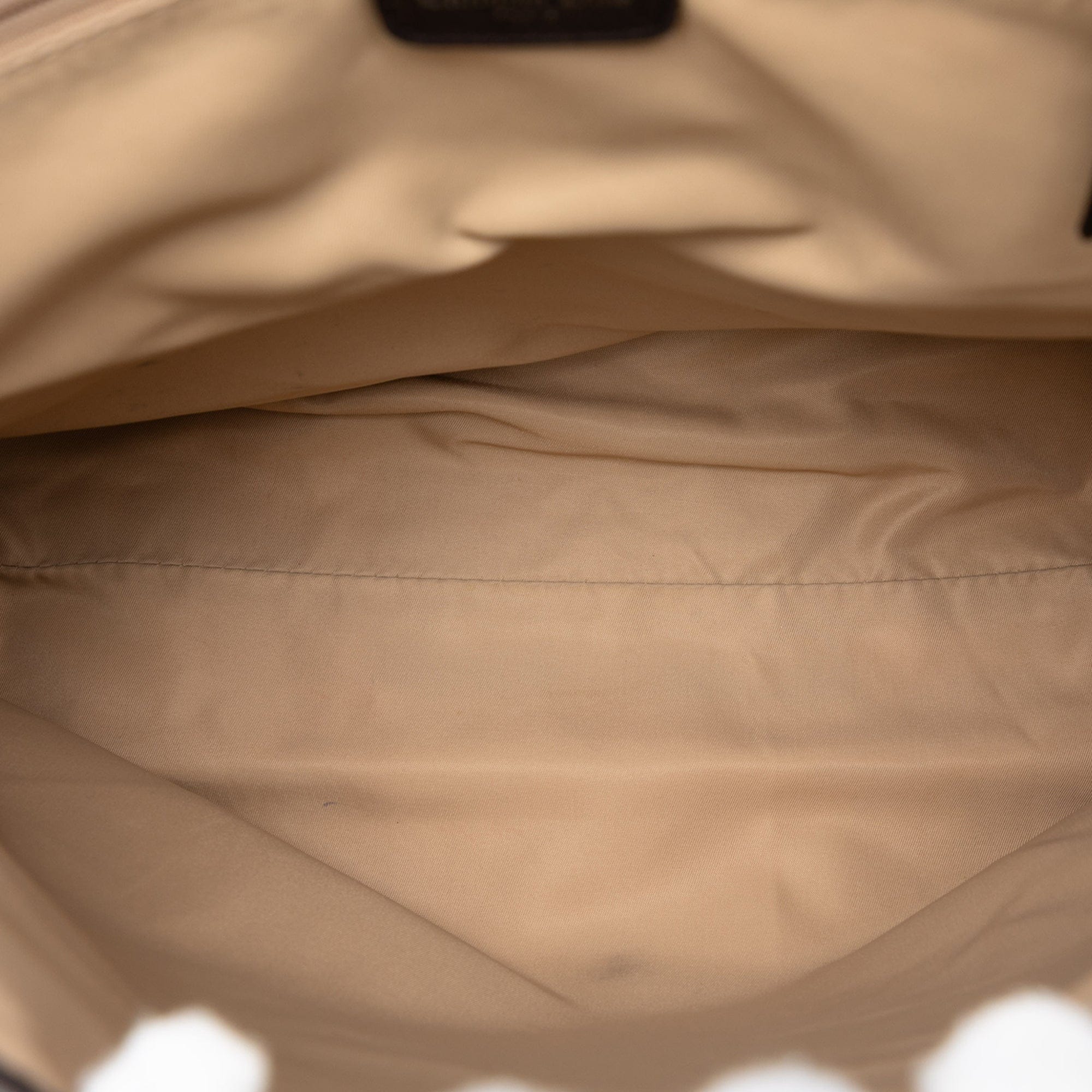 Diorissimo Trotter Canvas Street Chic Crossbody