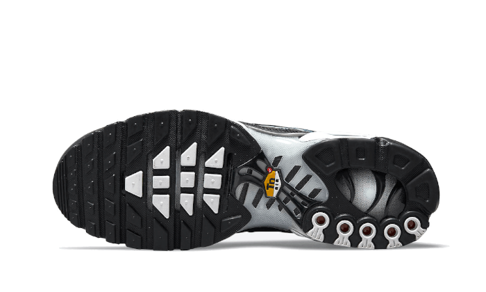 Nike Air Max Plus Dark Smoke Grey
