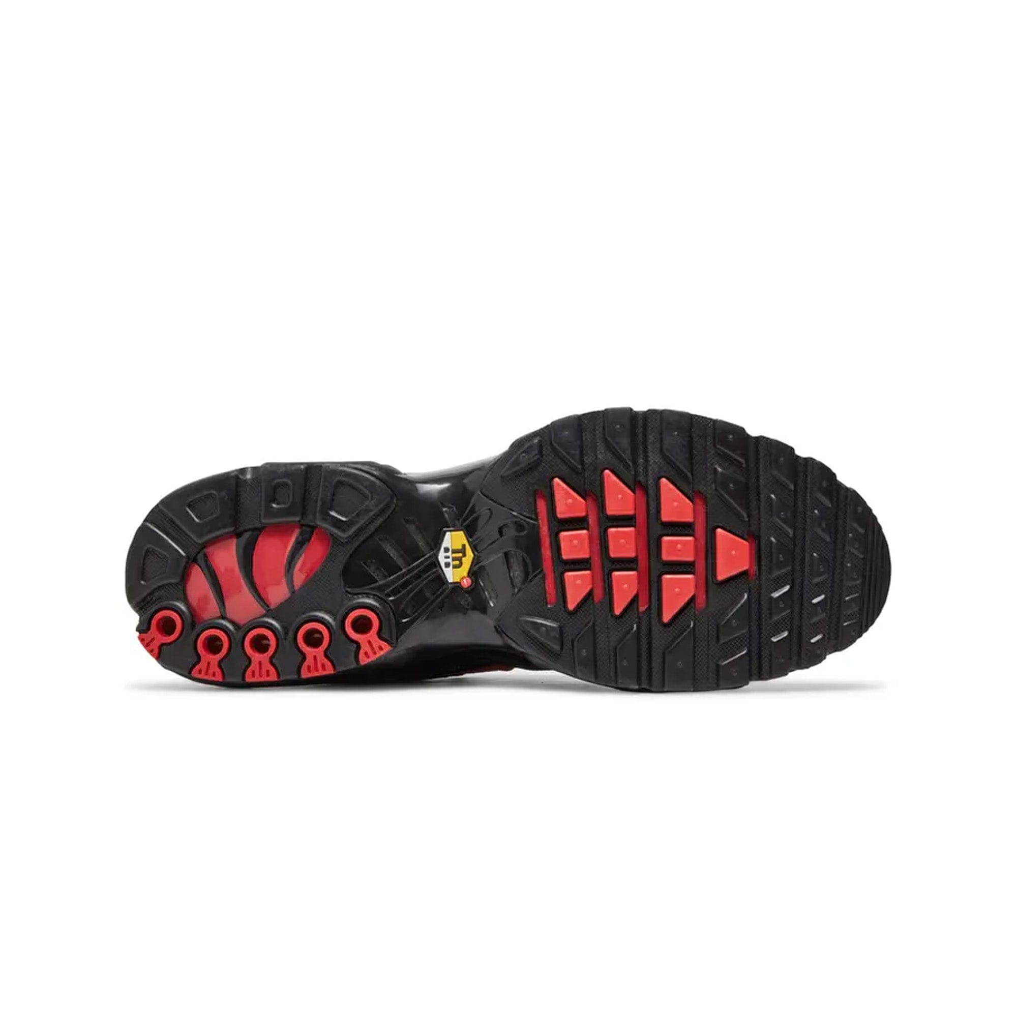 Nike Air Max TN Plus Metal Mesh Black Red (2021)