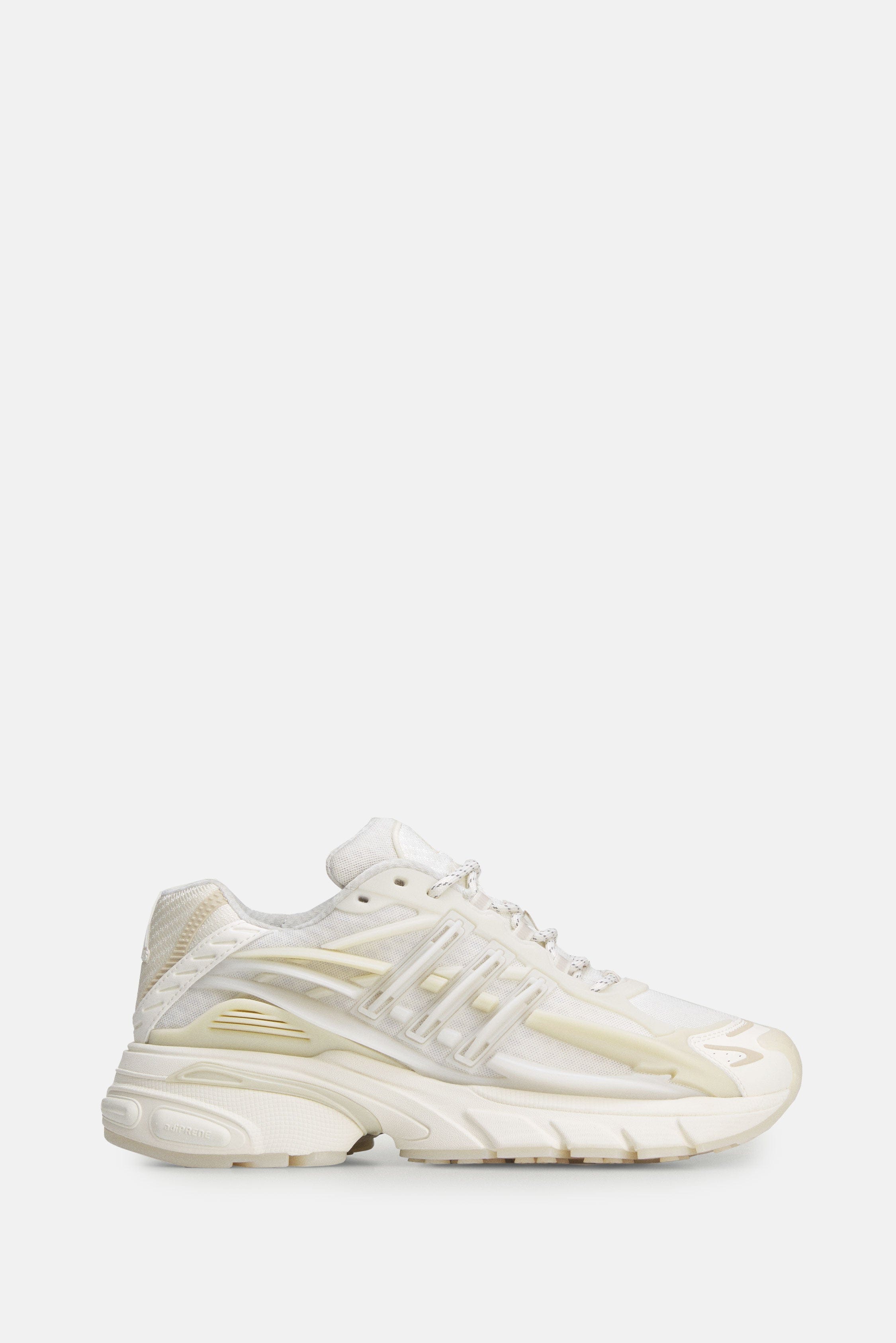 adidas ADISTAR JELLYFISH x PHARREL WILLIAMS