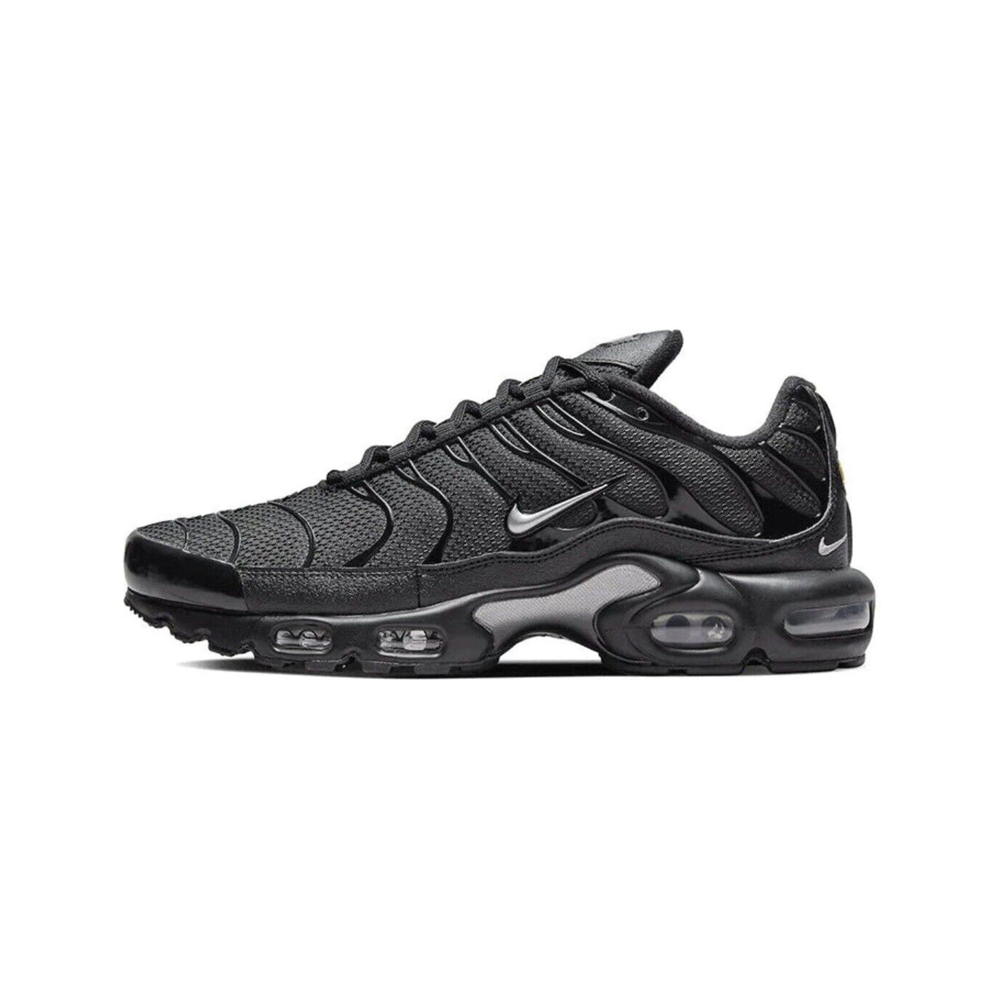 Nike Air Max Plus TN Mini Swoosh Black Silver (2022)