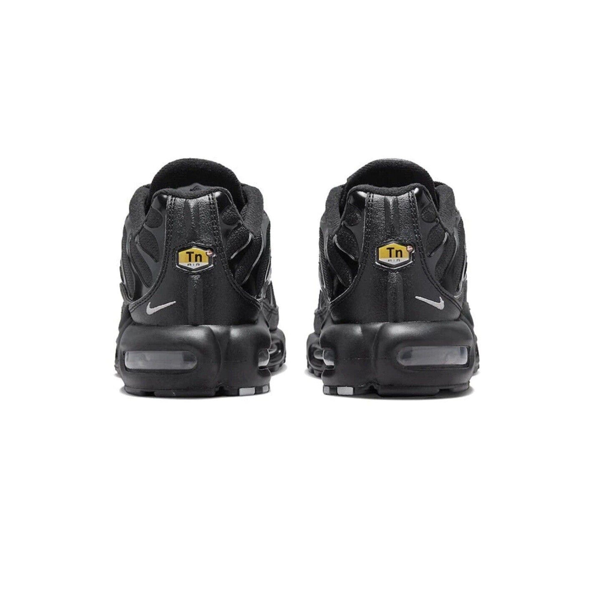 Nike Air Max Plus TN Mini Swoosh Black Silver (2022)
