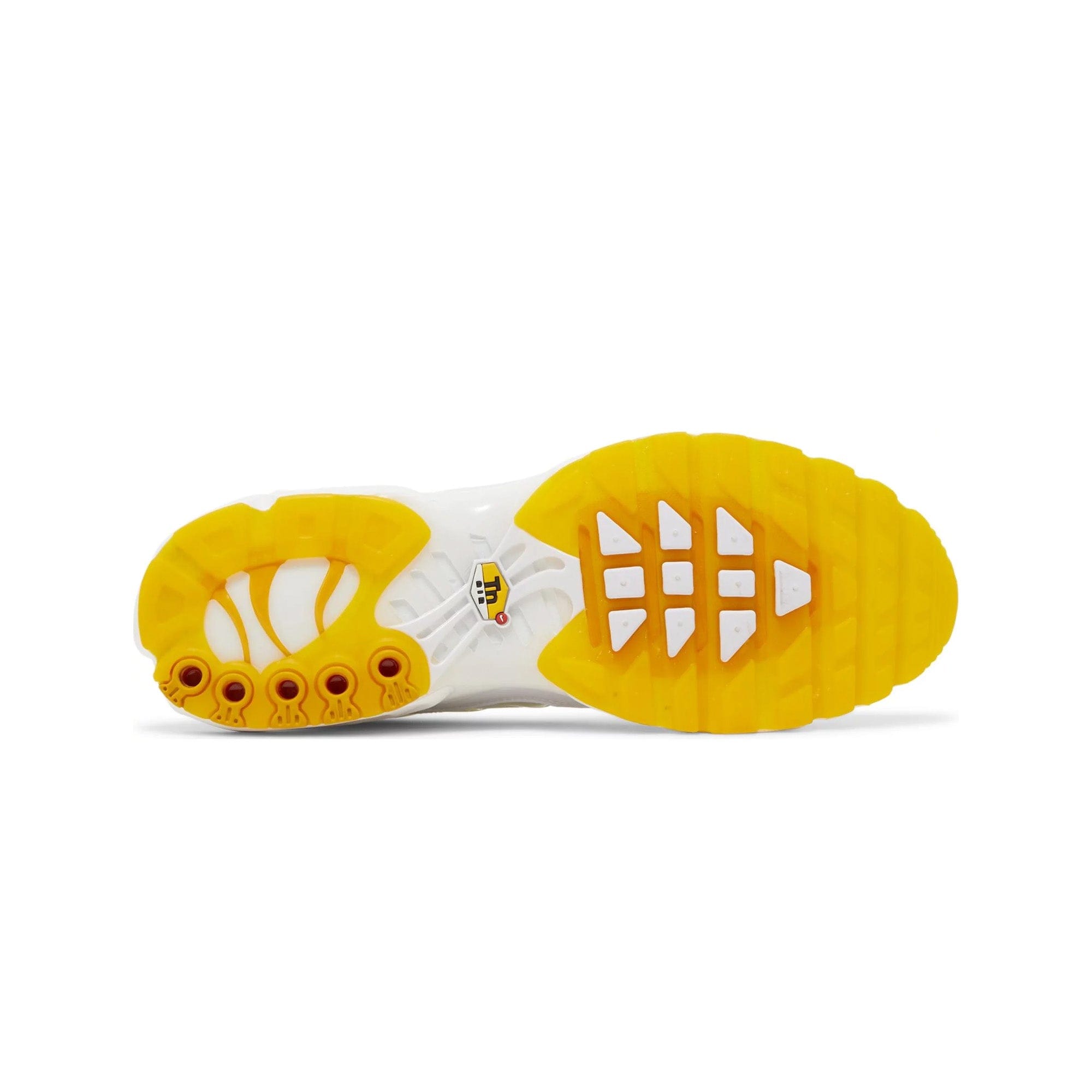 Nike Air Max Plus M. Frank Rudy (2022)