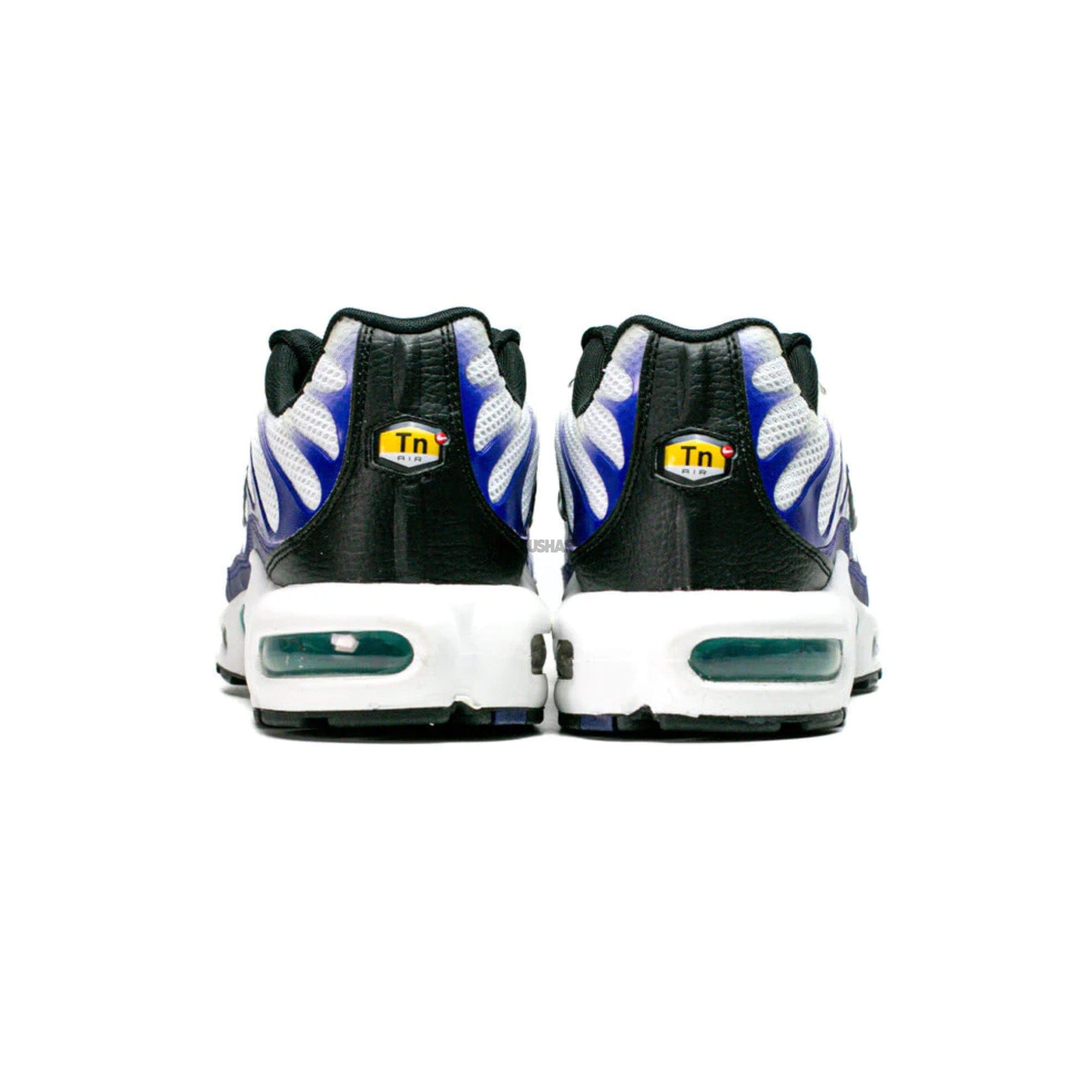 Nike Air Max Plus TN White Grape Ice (2022)