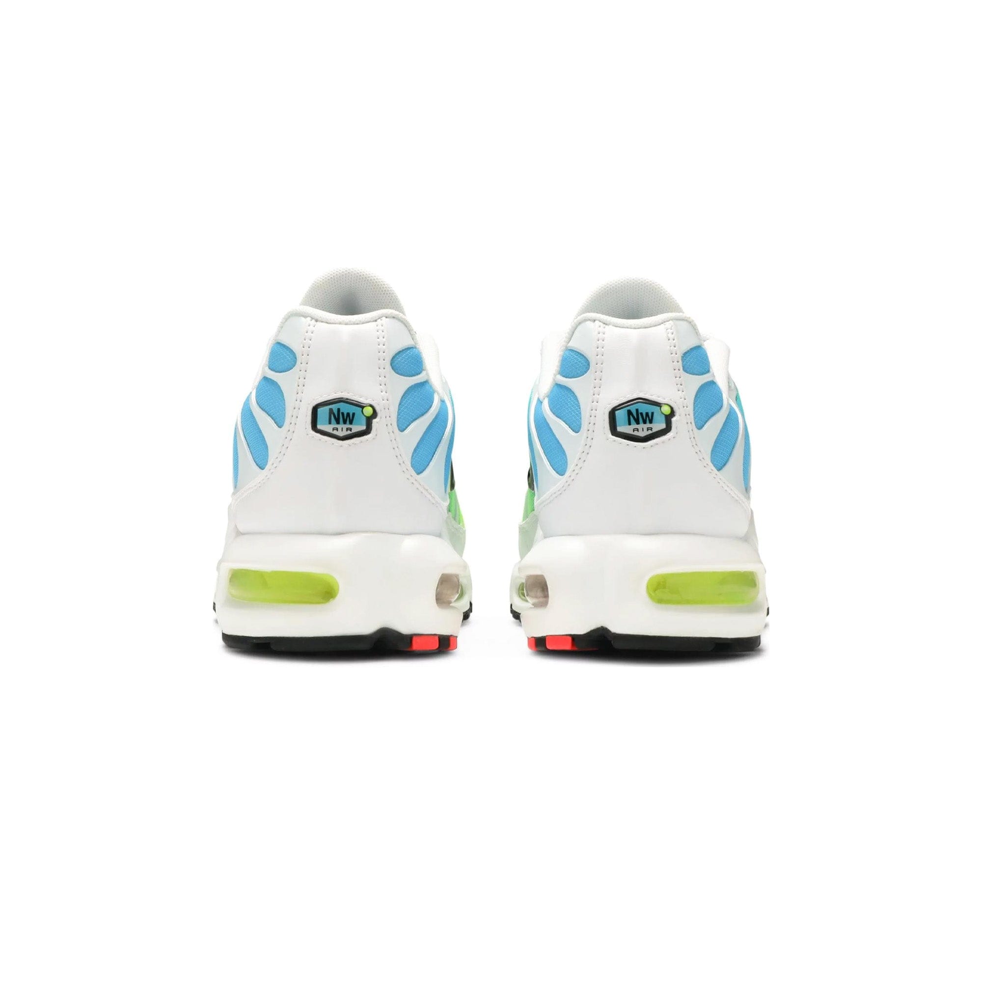 Nike Air Max Plus TN Worldwide