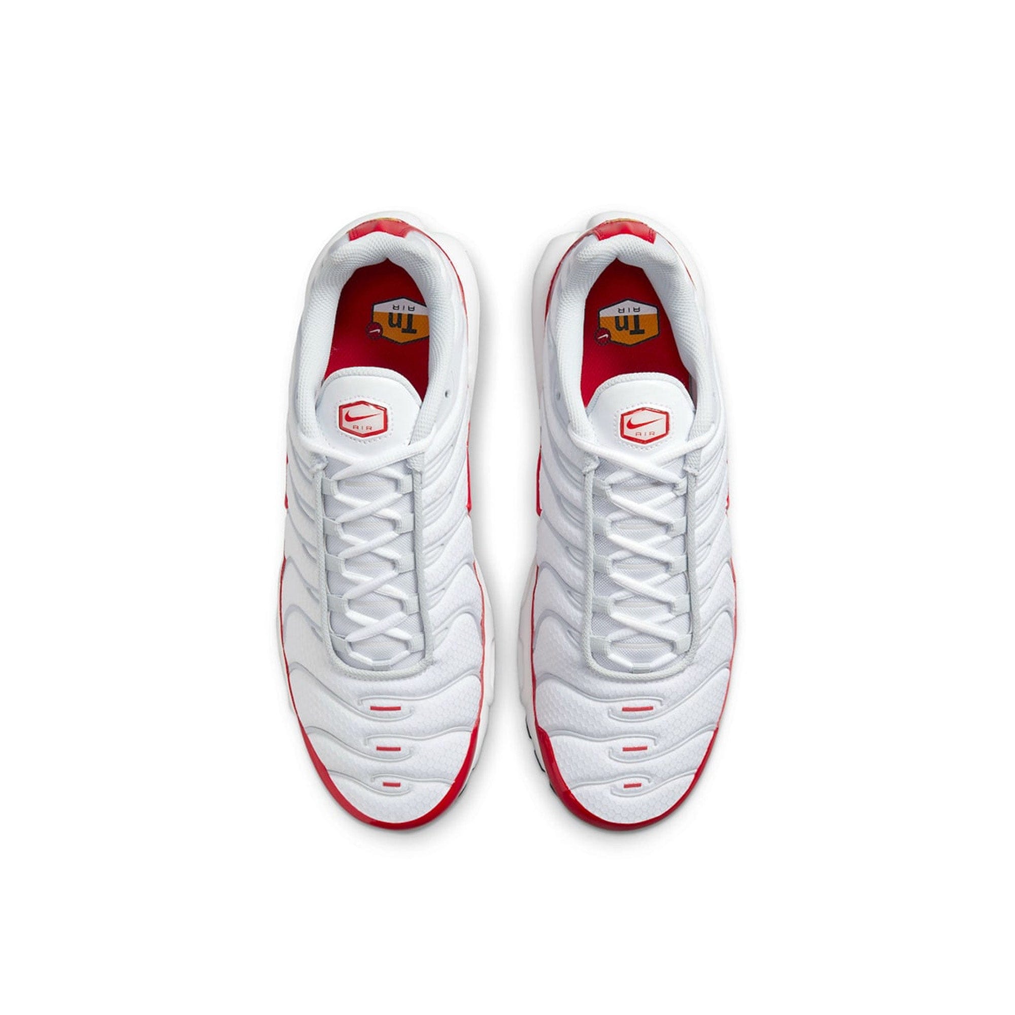 Nike Air Max TN Plus Air Max 1