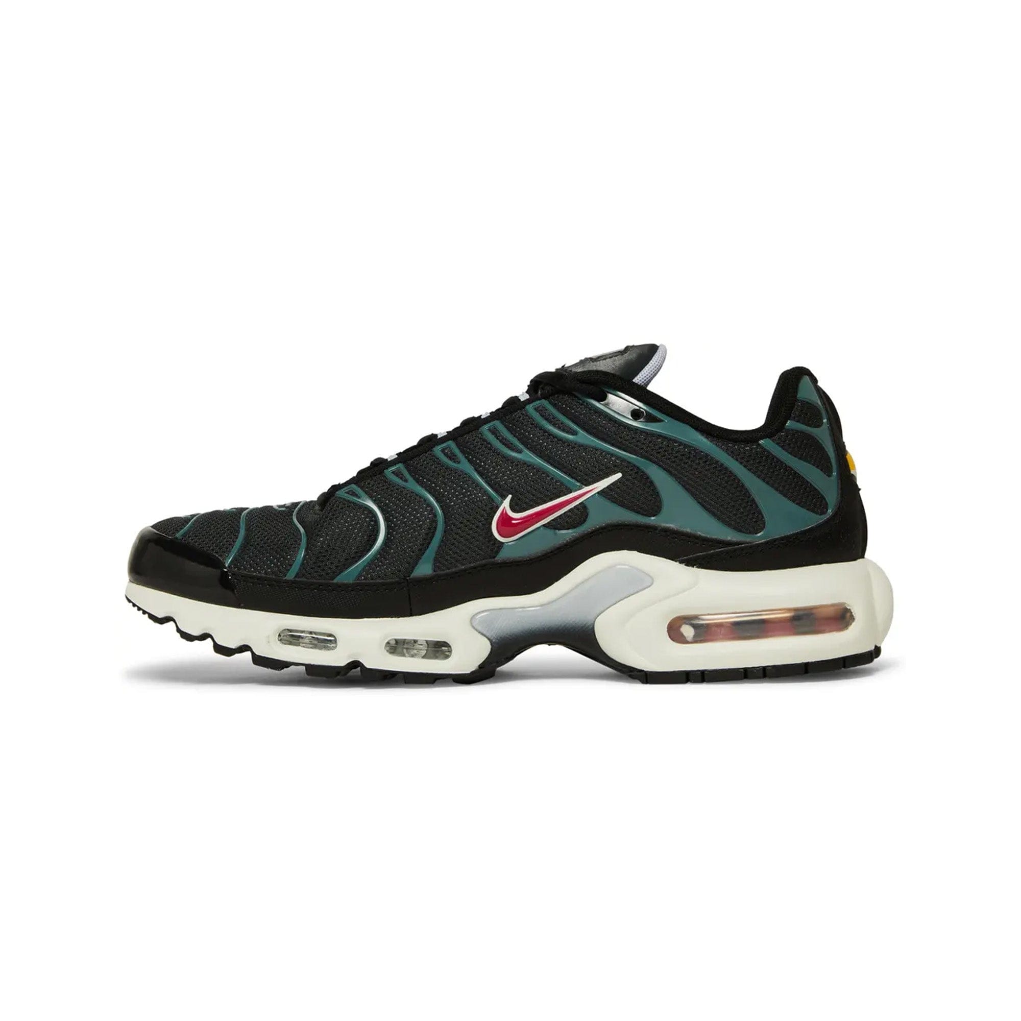 Nike Air Max TN Plus Black Teal (2021)