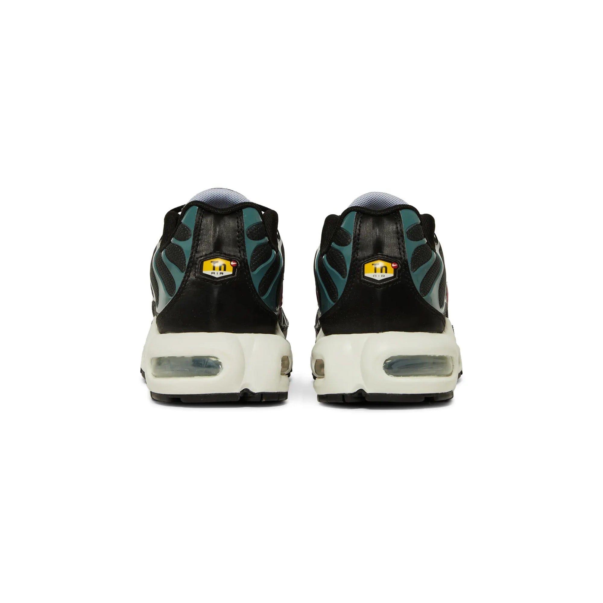 Nike Air Max TN Plus Black Teal (2021)