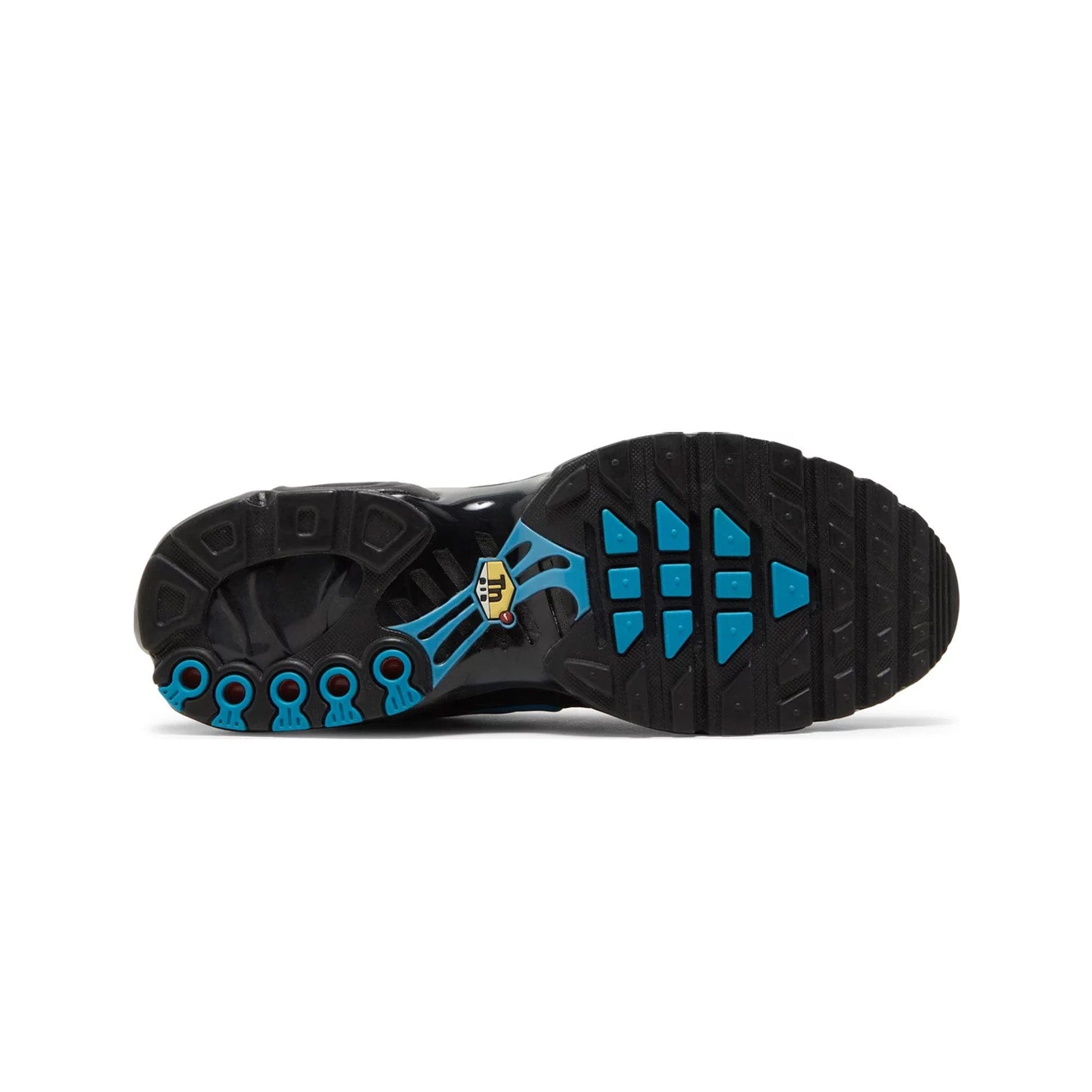 Nike Air Max Plus TN Black Hex'