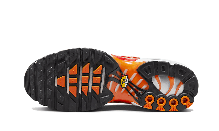 Nike Air Max Plus Light Photography