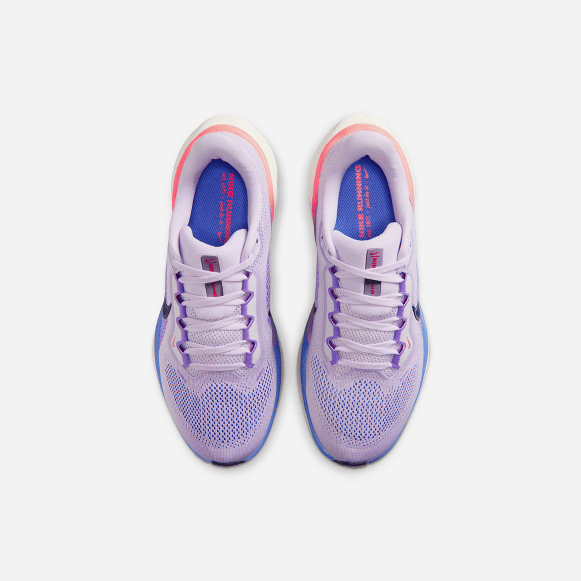 Nike Air Zoom Pegasus 41 Violet Mist/Bright Violet/Sapphire/Purple Dynasty WMNS
