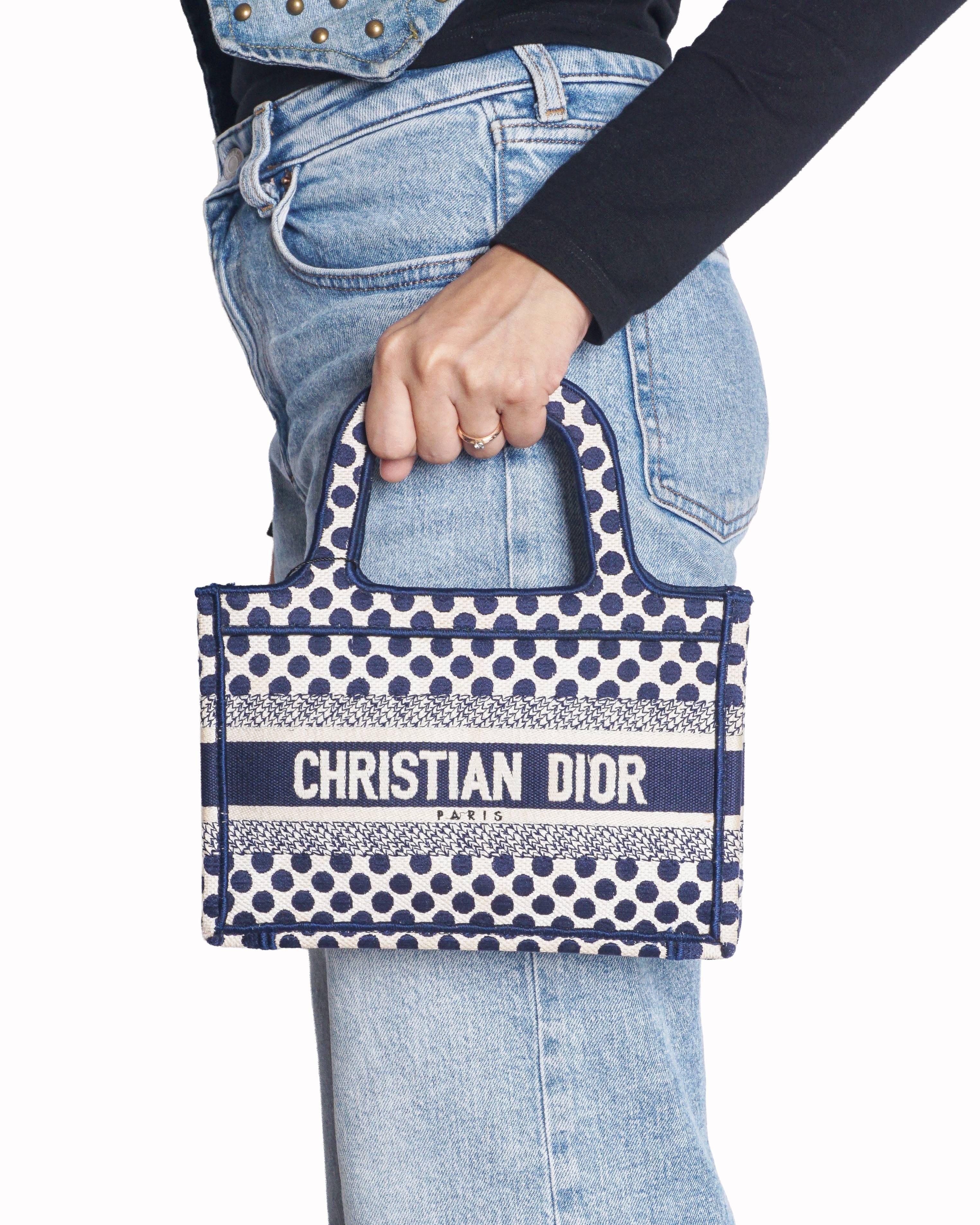 Dior Christian Dior Blue & Cream Polka Dot Embroidered Canvas Mini Book Tote