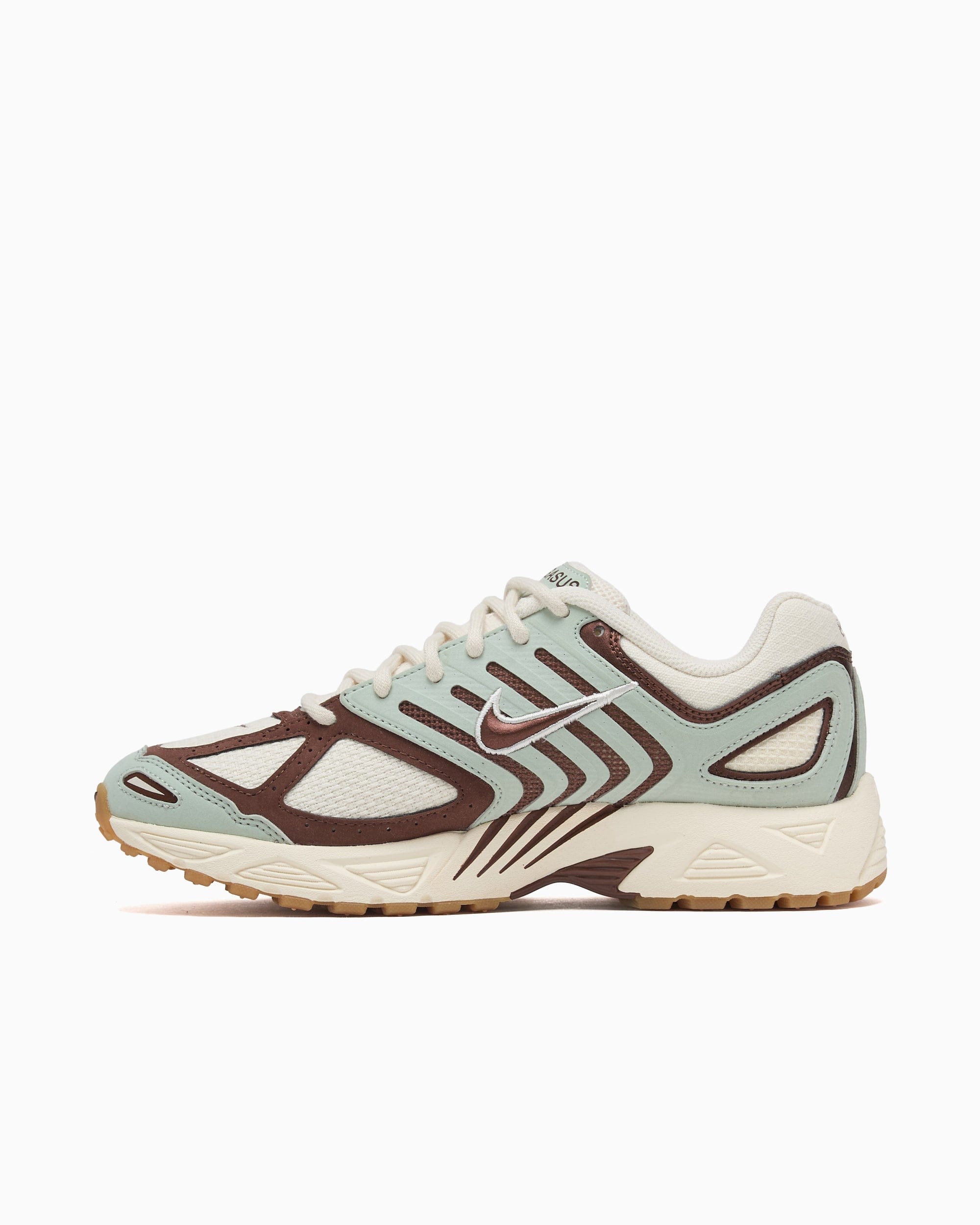 Nike Air Pegasus 2005 SE