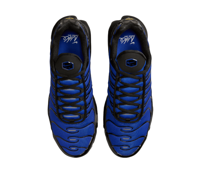 Nike Men's Nike Air Max Plus TN (Black Racer Blue)
