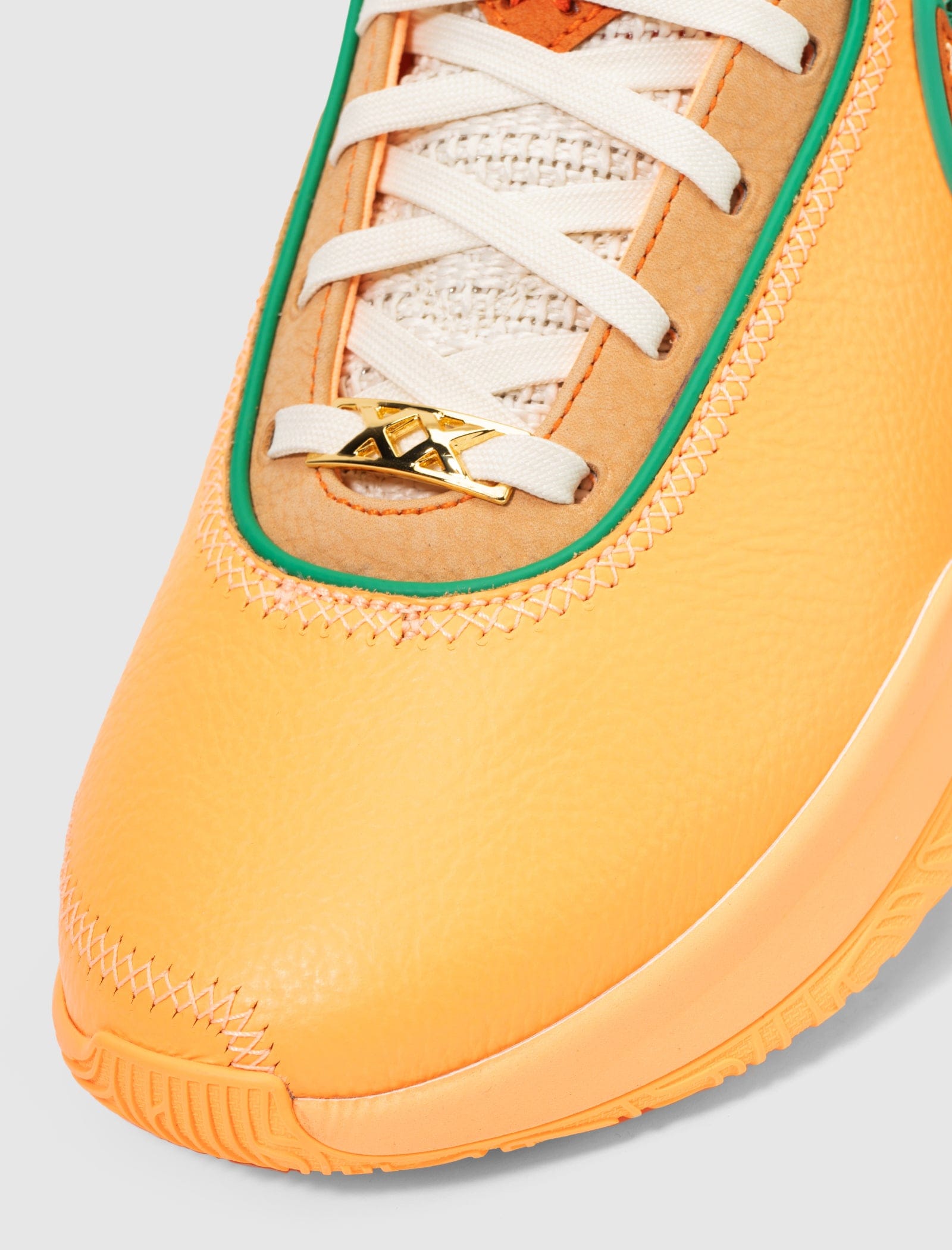 Nike APB x FAMU LEBRON XXs ORANGE