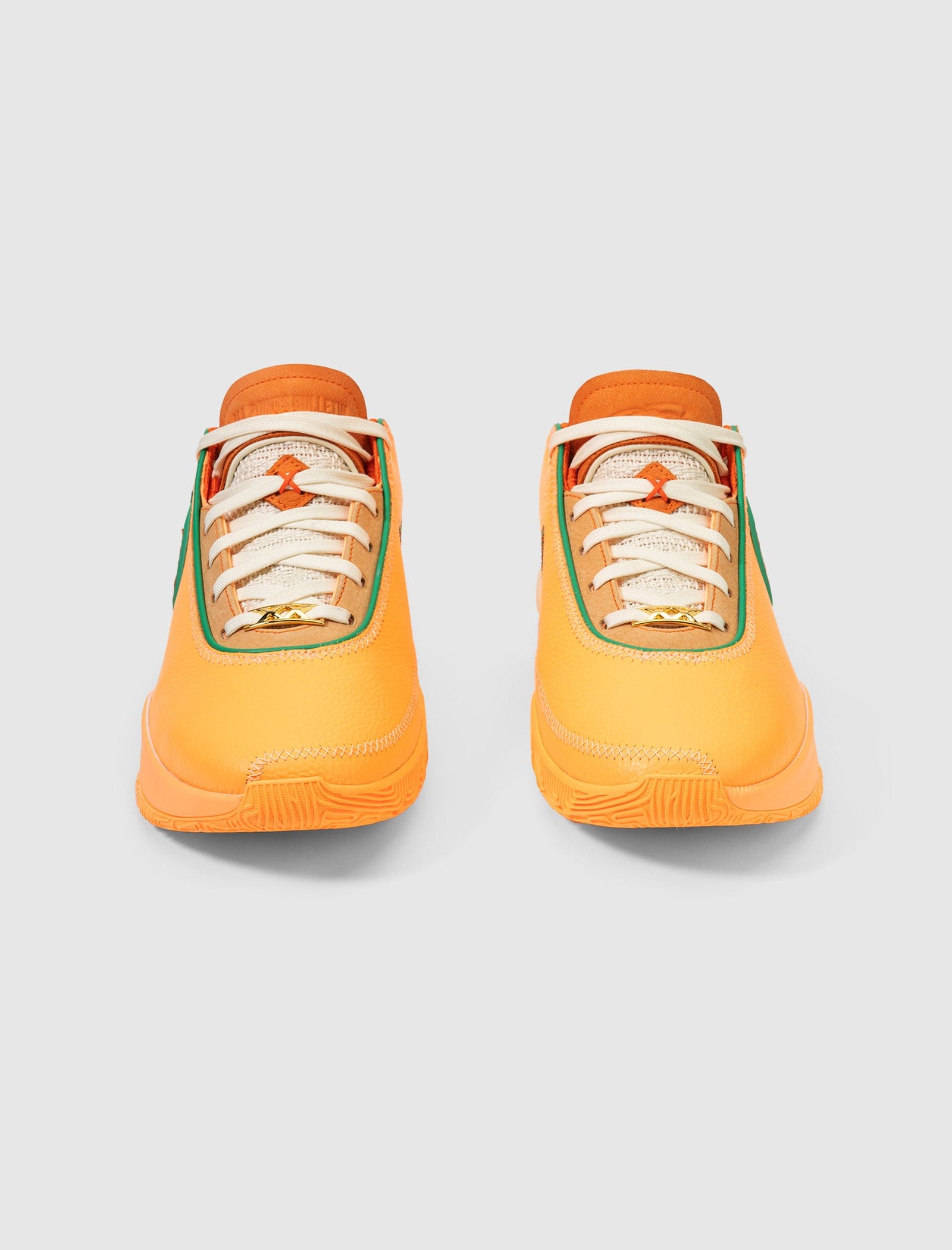 Nike APB x FAMU LEBRON XXs ORANGE