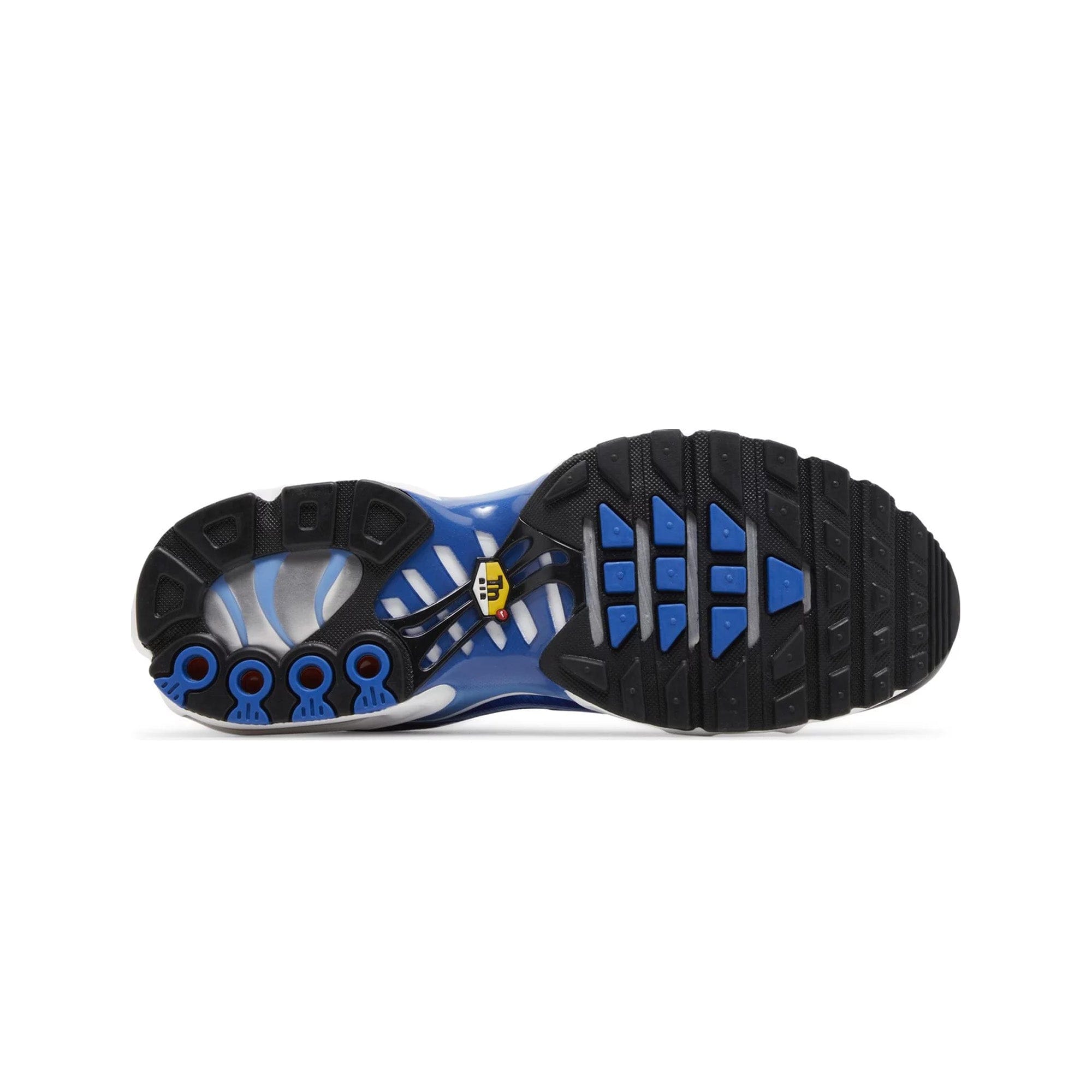 Nike Air Max Plus TN Light Photography Old Royal (2023)