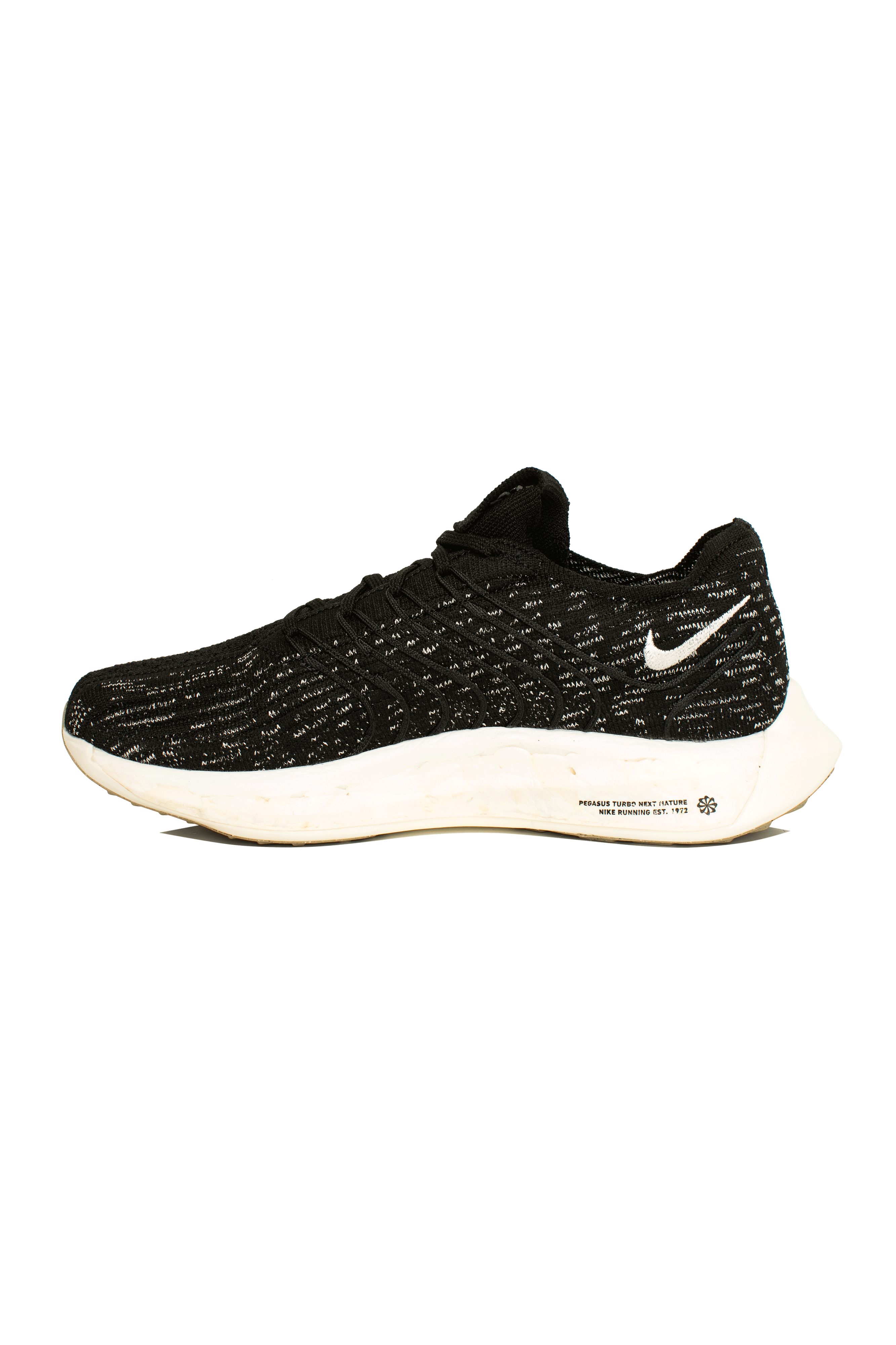 Nike Pegasus Turbo Next Nature