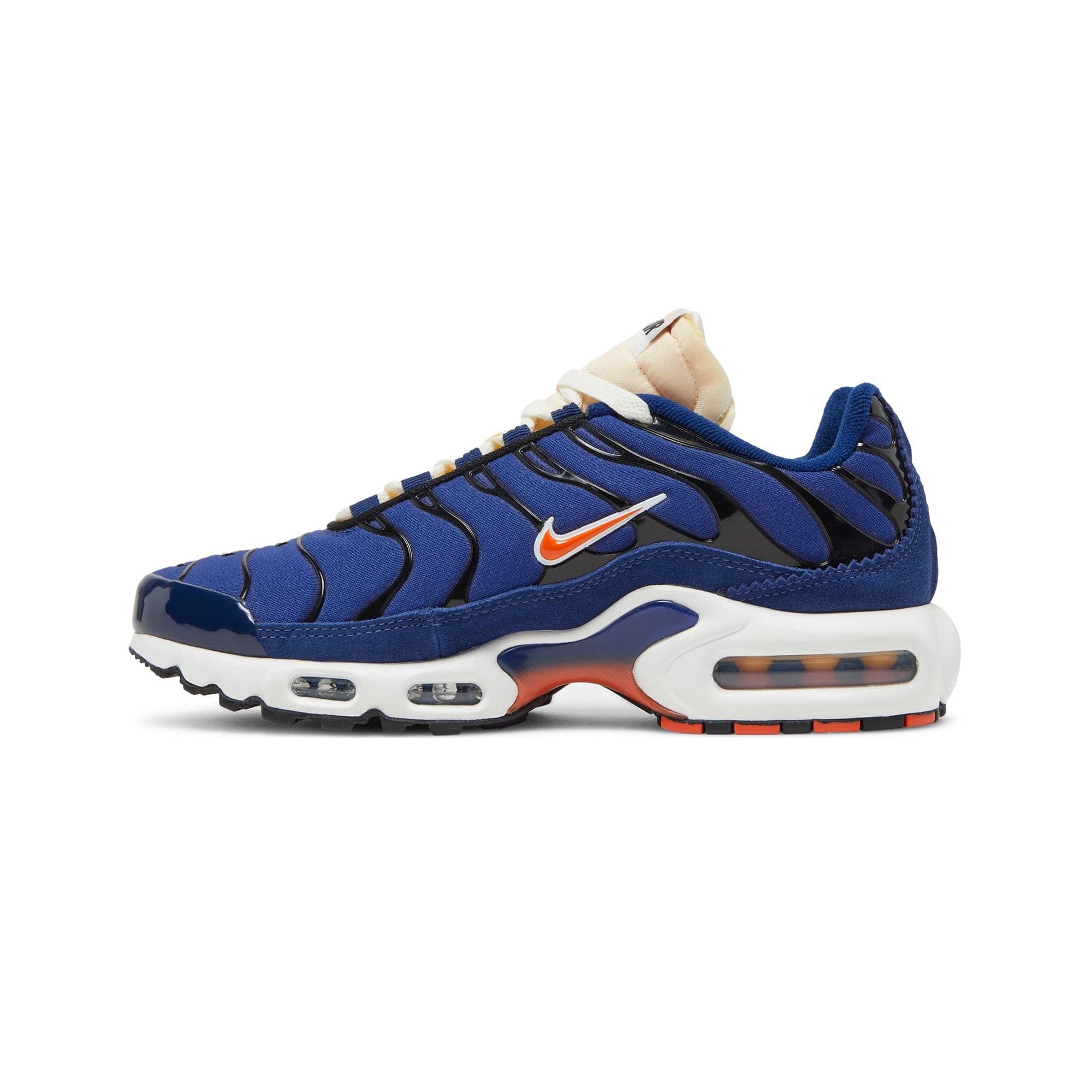 Nike Air Max TN Plus SE Air Max Running Club (2021)