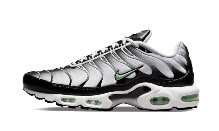 Nike Air Max Plus Seafoam Grey Black
