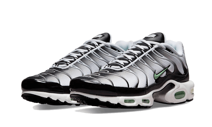 Nike Air Max Plus Seafoam Grey Black
