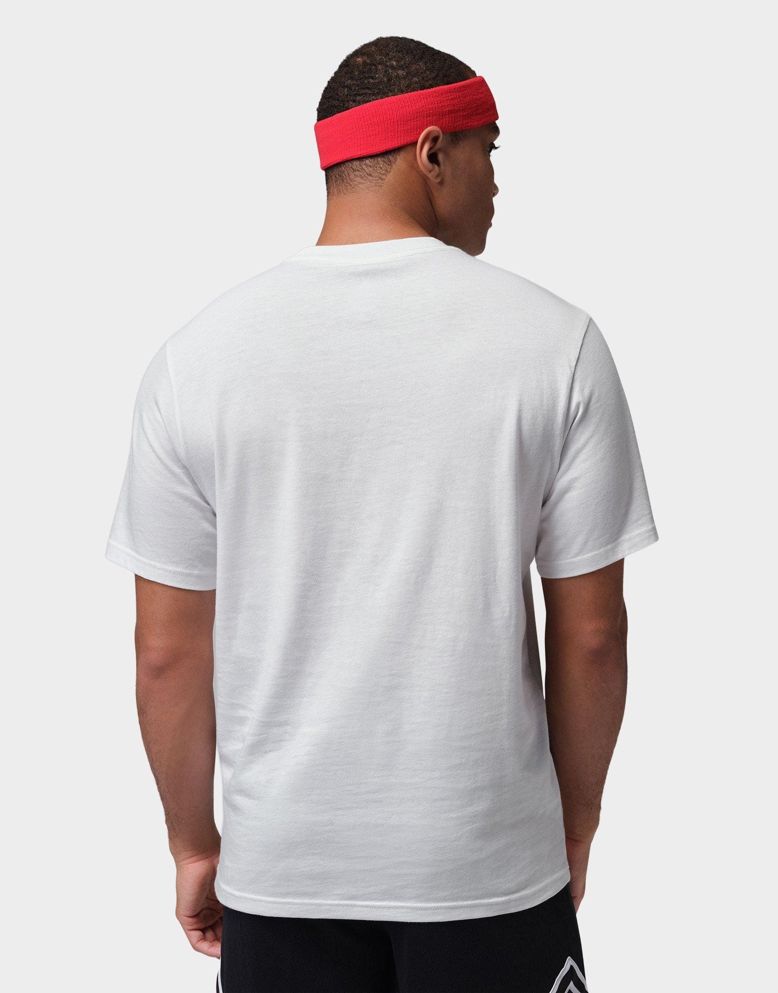 Air Jordan Sport Dri - FIT T - Shirt