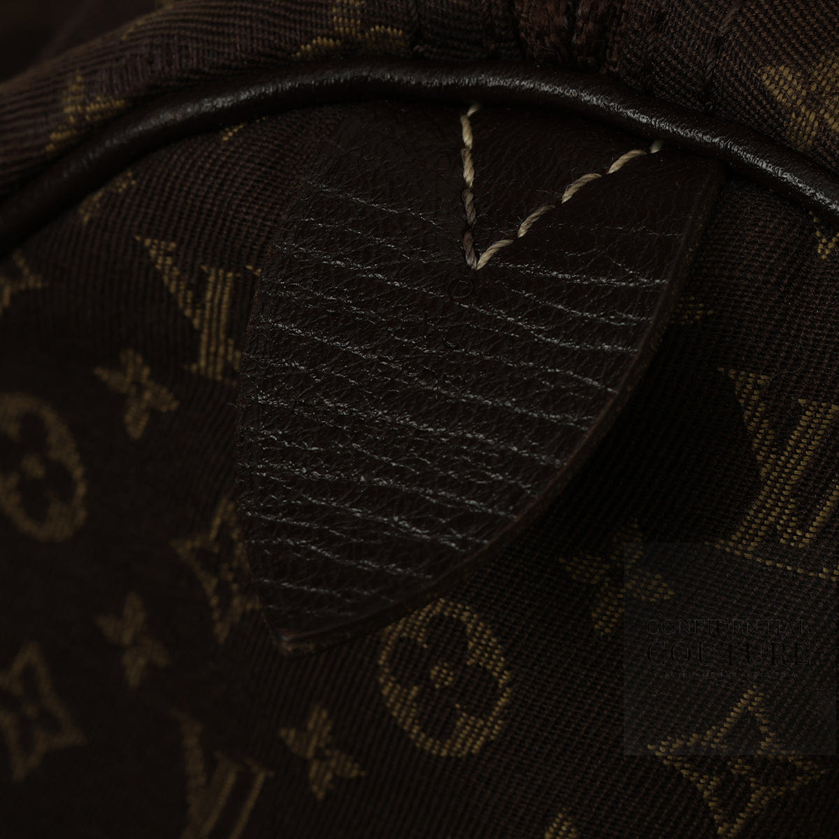 Louis Vuitton Monogram Mini Lin Speedy 30 Bag