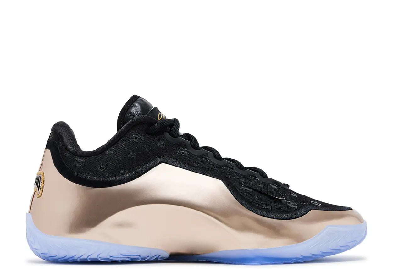 Nike LeBron 23 The Chosen One and The One Who Chose (Translucent Outsole)