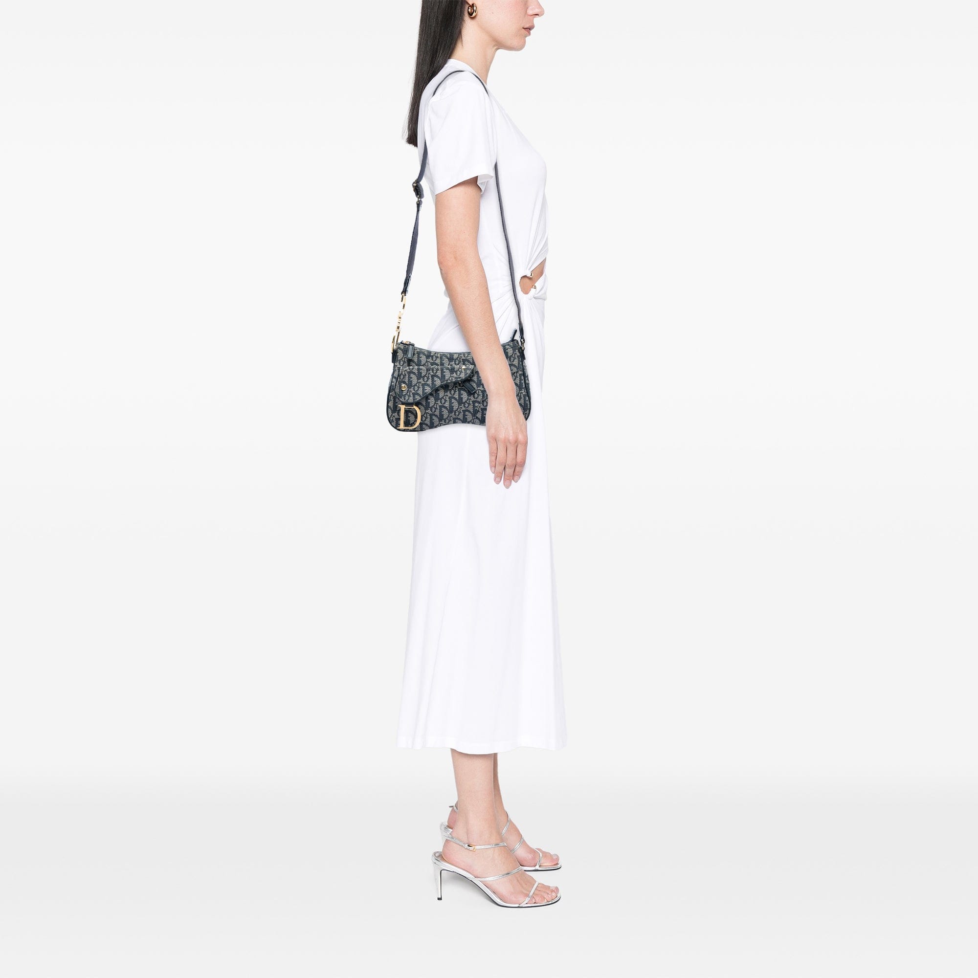 Diorissimo Trotter Canvas Double Saddle Crossbody