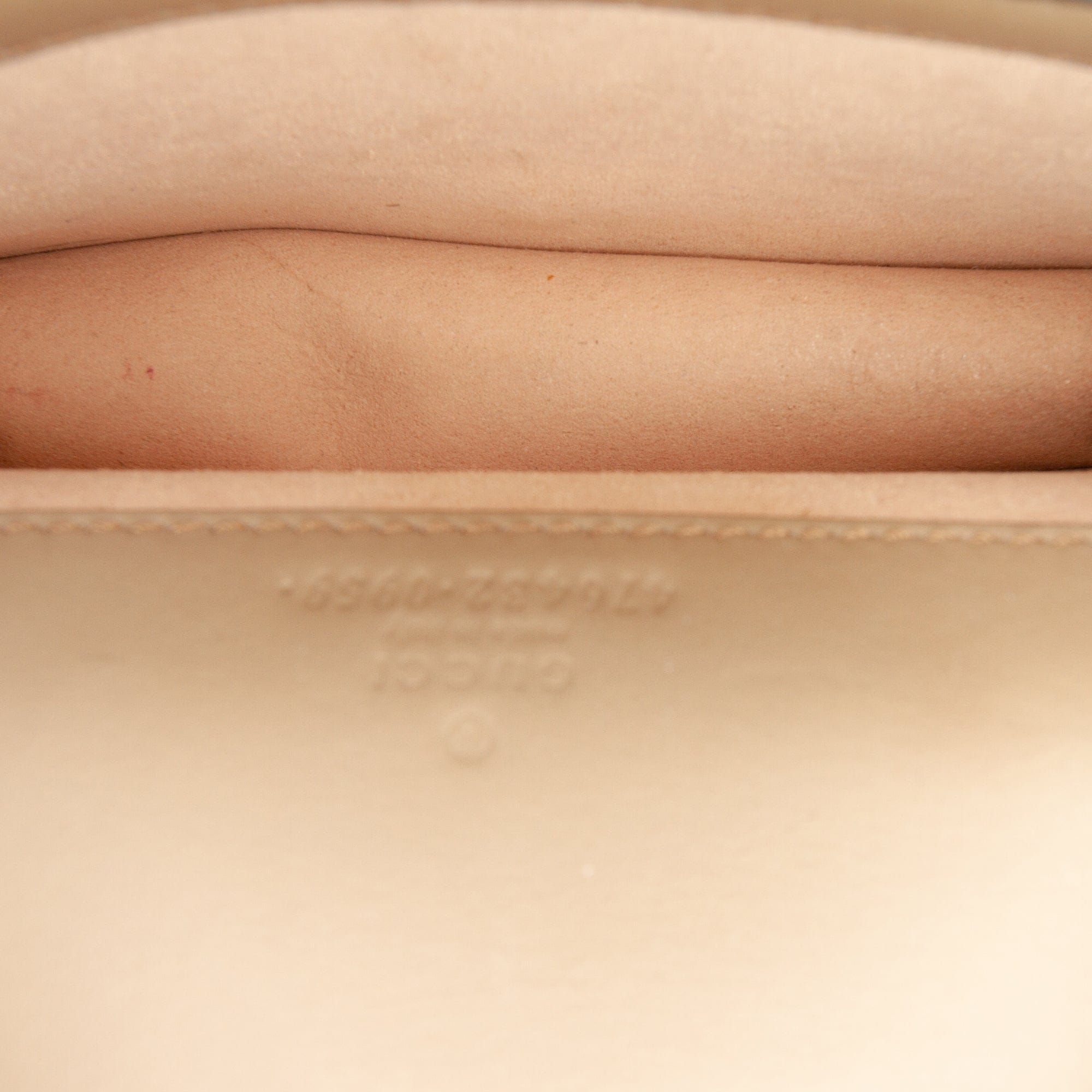 Gucci Mini GG Supreme Dionysus Crossbody