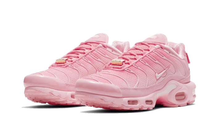 Nike Air Max Plus Atlanta