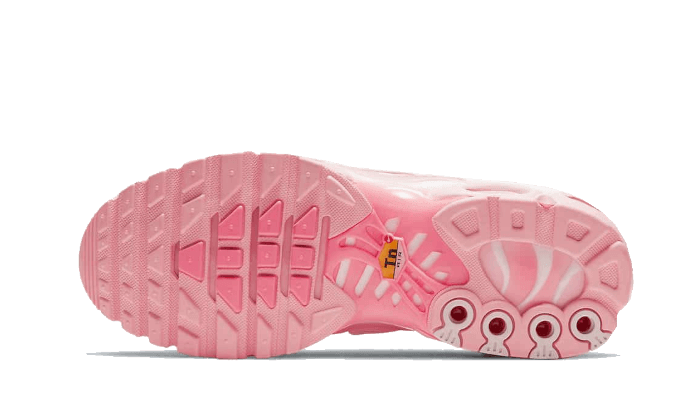 Nike Air Max Plus Atlanta
