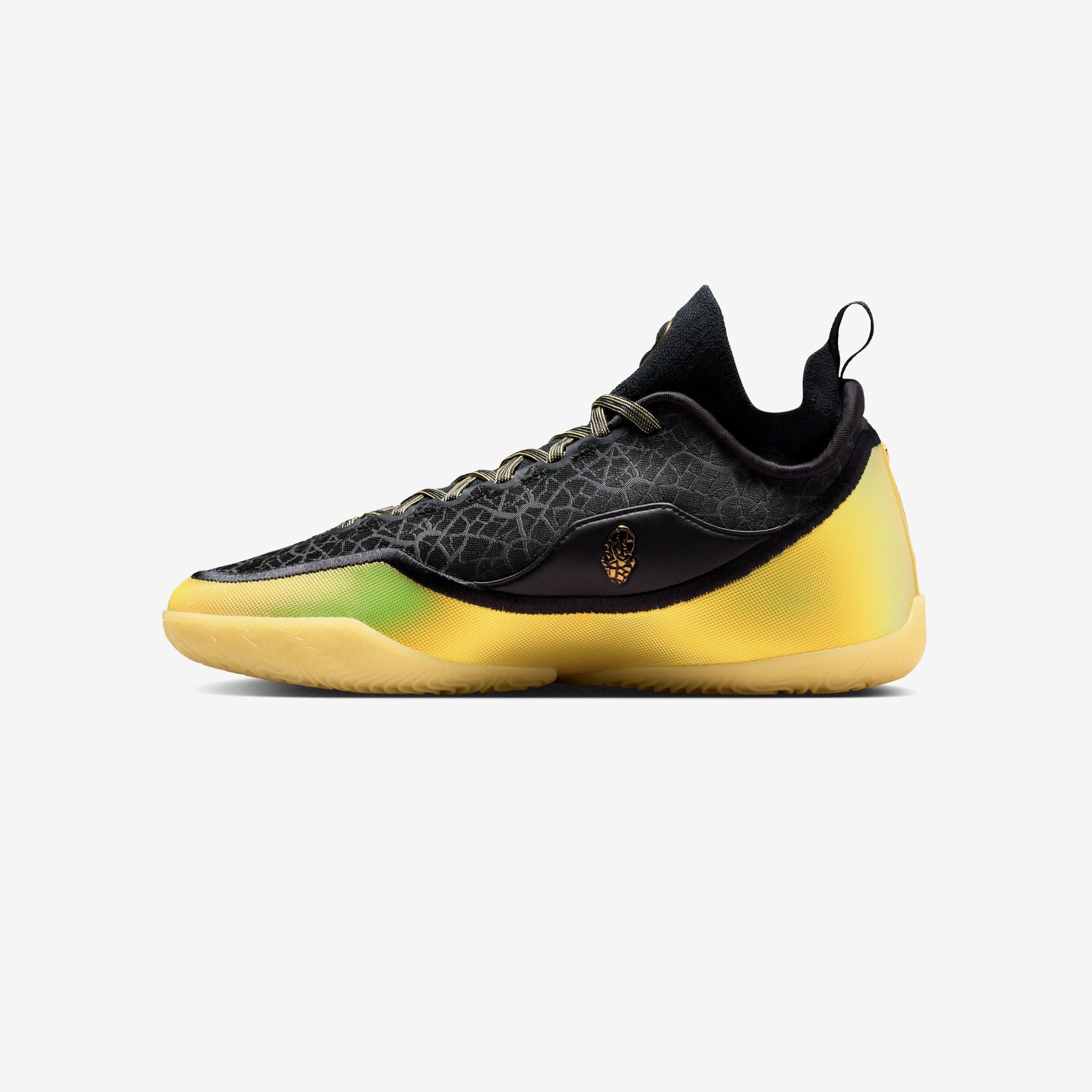 Nike Lebron XXIII Elite Hurt Feelings