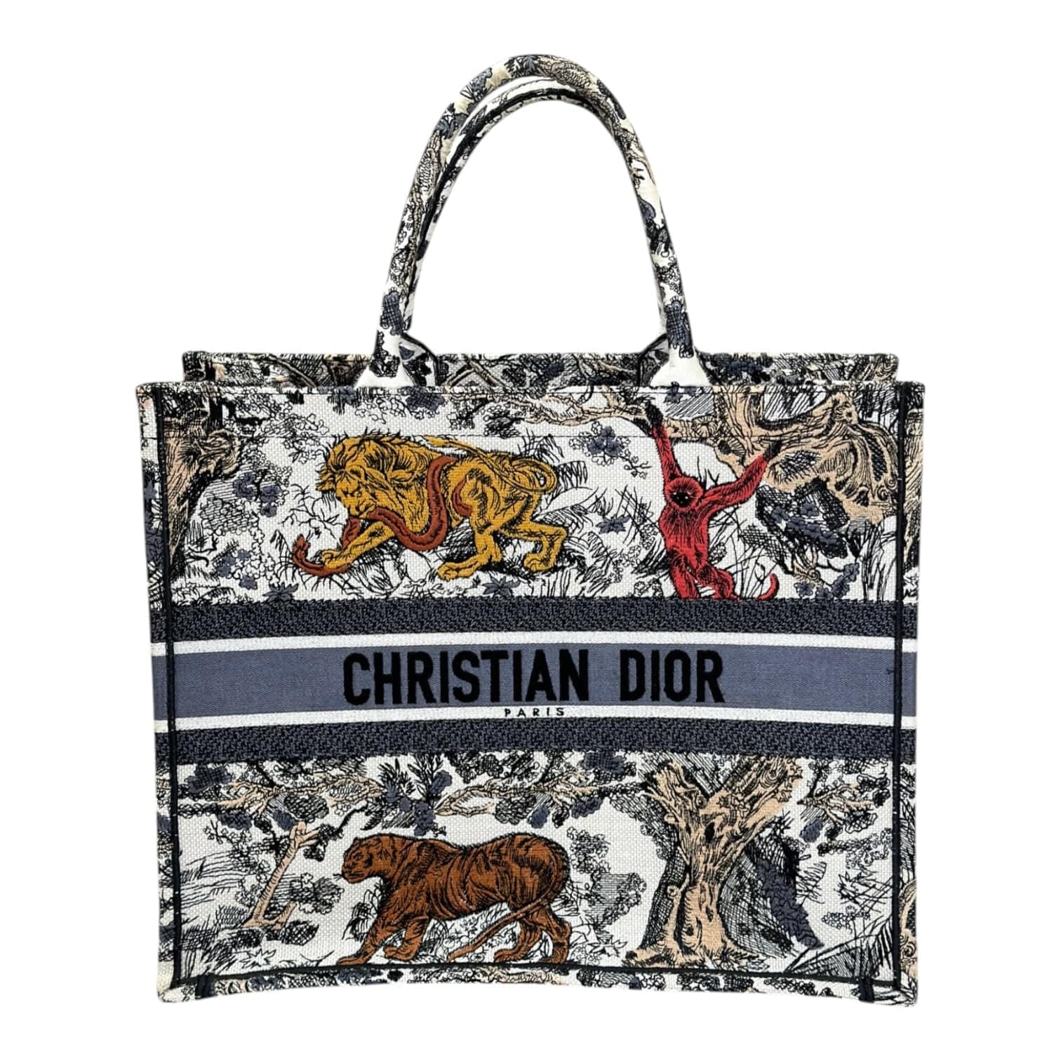 Dior Book Tote GM Tolie De Jouy Bag