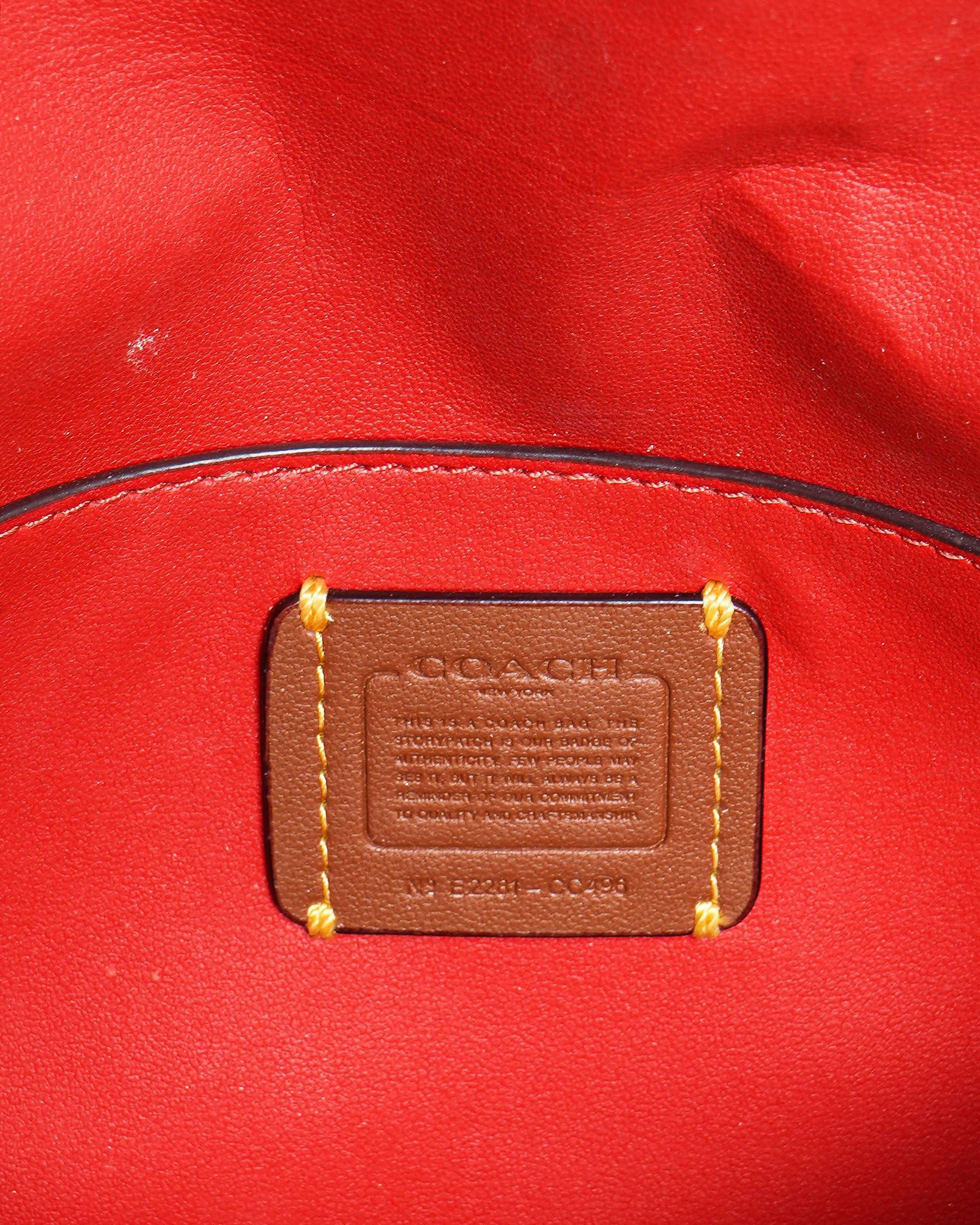Coach Wyn Signature Leather Crossbody Bag with Detachable