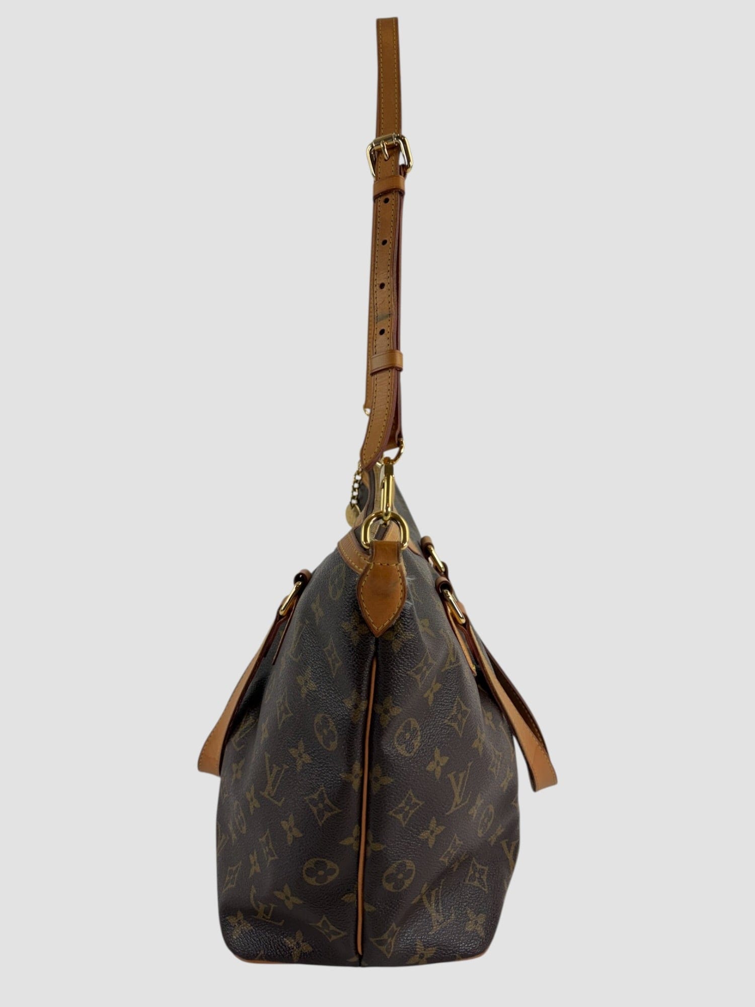 Louis Vuitton Monogram Canvas Palermo Handbag